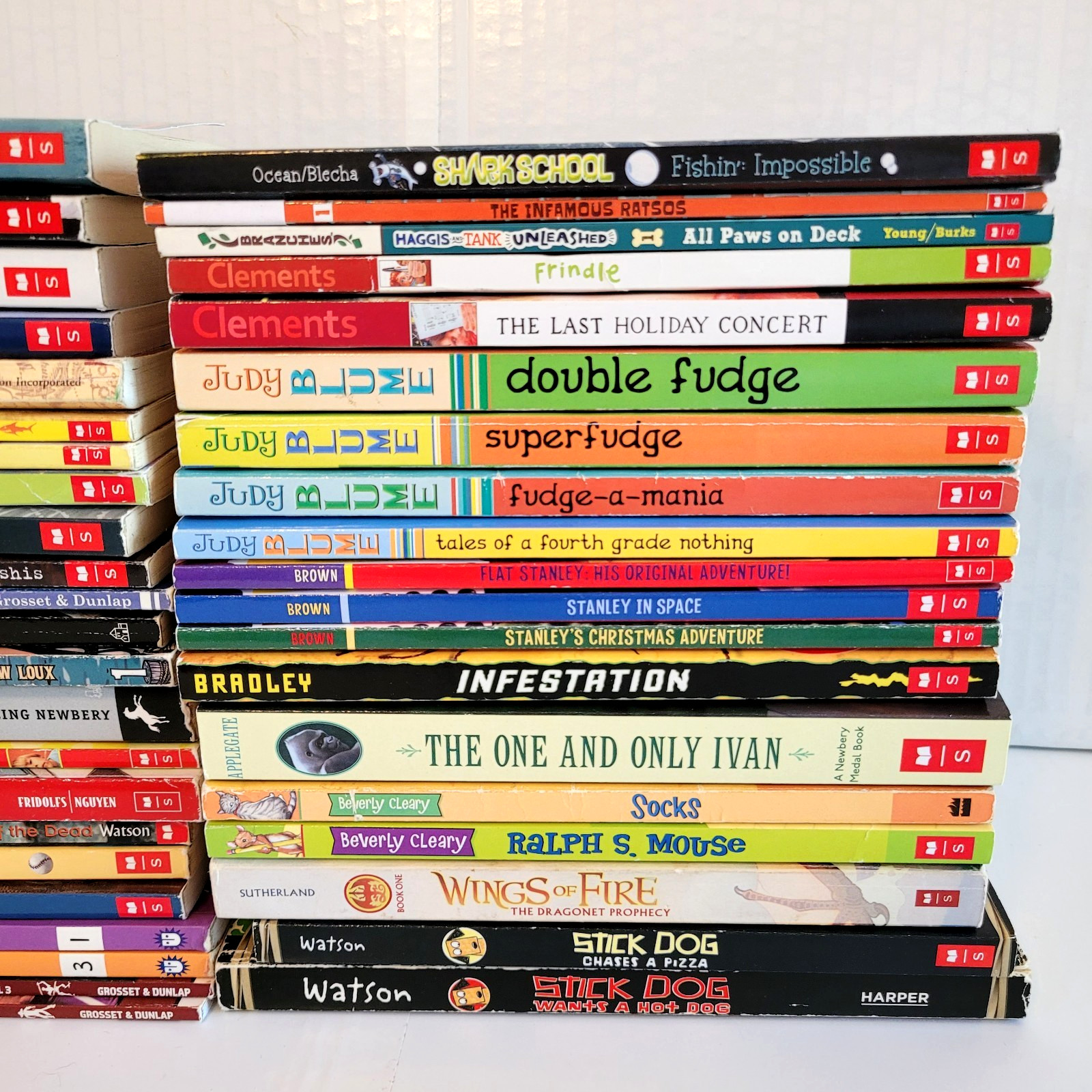 Boys 3rd/4th/5th/6th Grade Chapter Books Lot of 42 Homeschool PB Scholastic