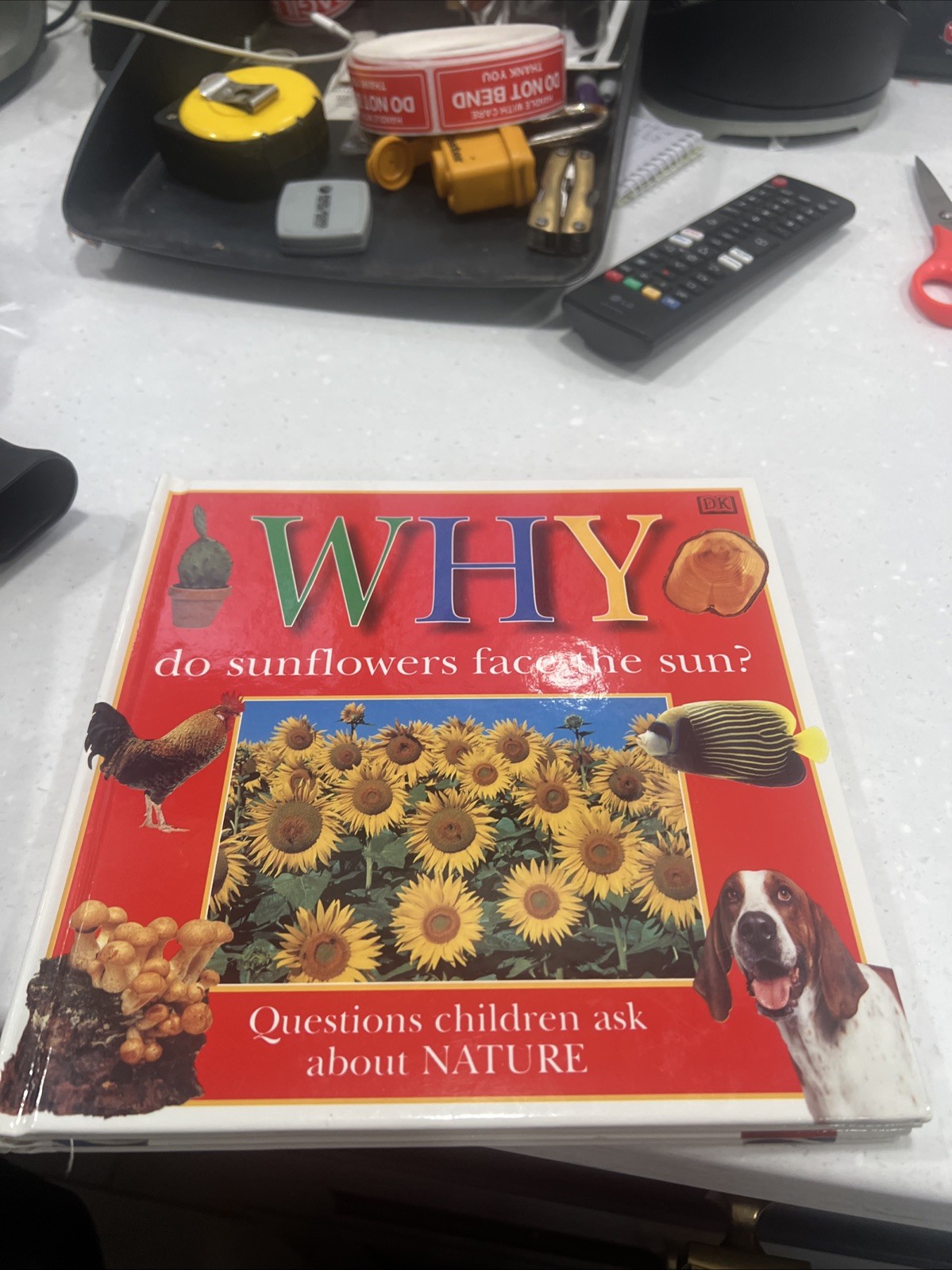 Vintage 1997 Why Questions Children Ask Book Lot 11 Books
