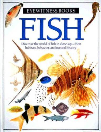 Fish (Eyewitness books) – Hardcover By Dorling Kindersley Ltd – VERY GOOD