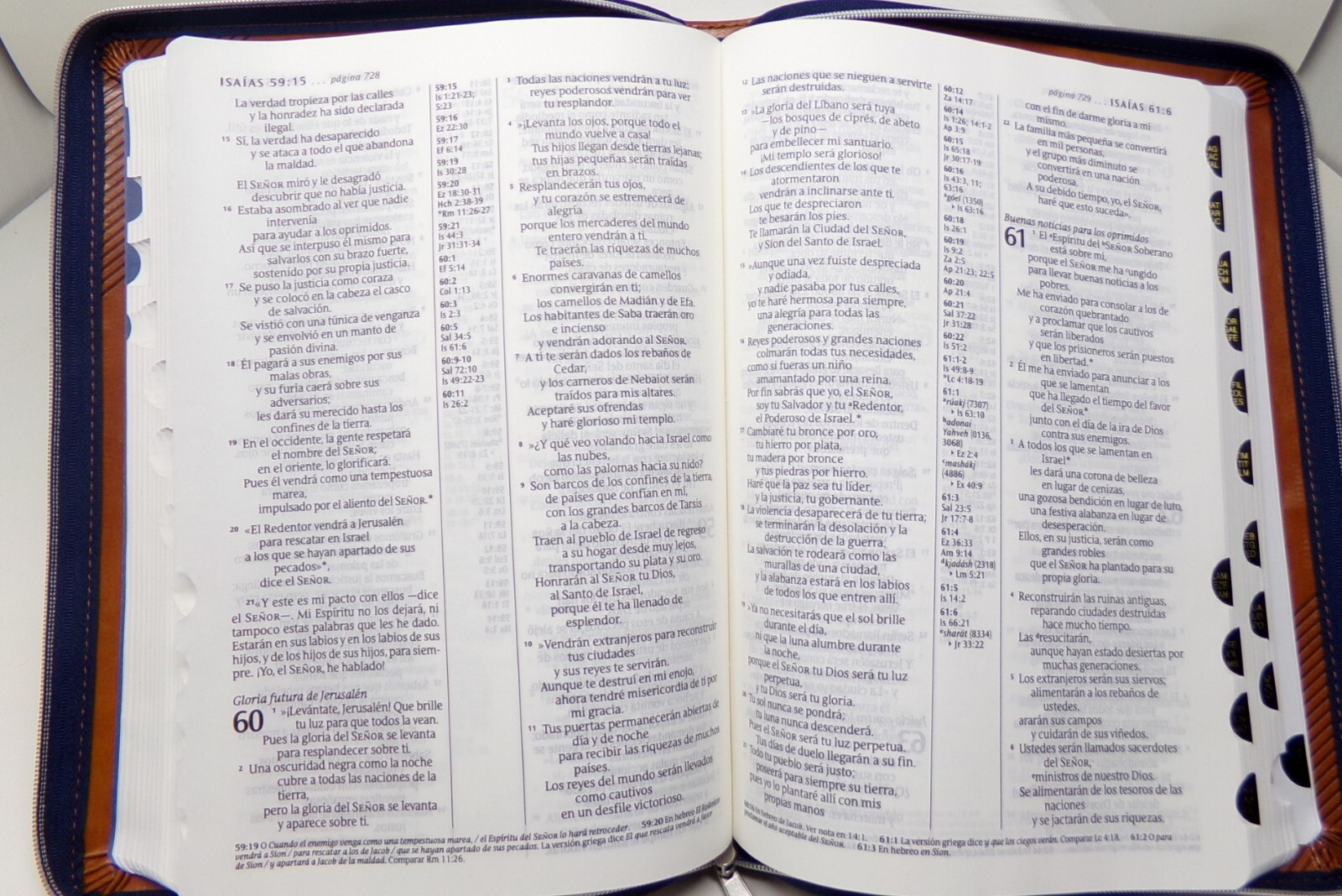Biblia NTV, Letra 9.5 Ptos Con Indice, Cierre & Referencias , Café *SKU1-4*