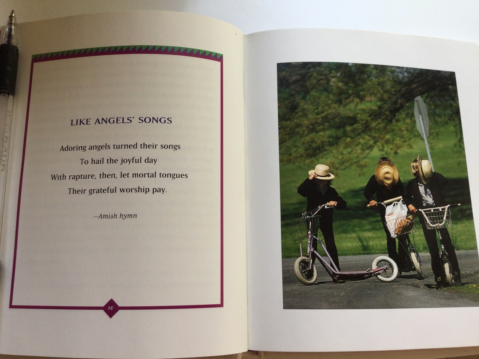 “Wisdom of the Plain Folk” Book by Donna and Robert Leahy-88 pages – Illustrated