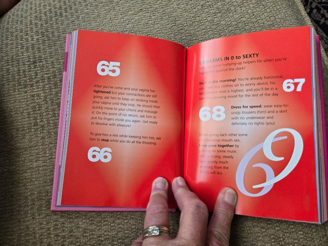 Satisfaction Guaranteed: 350 Best Sex Tips Ever by Lisa Sussman (2003, Hardcover