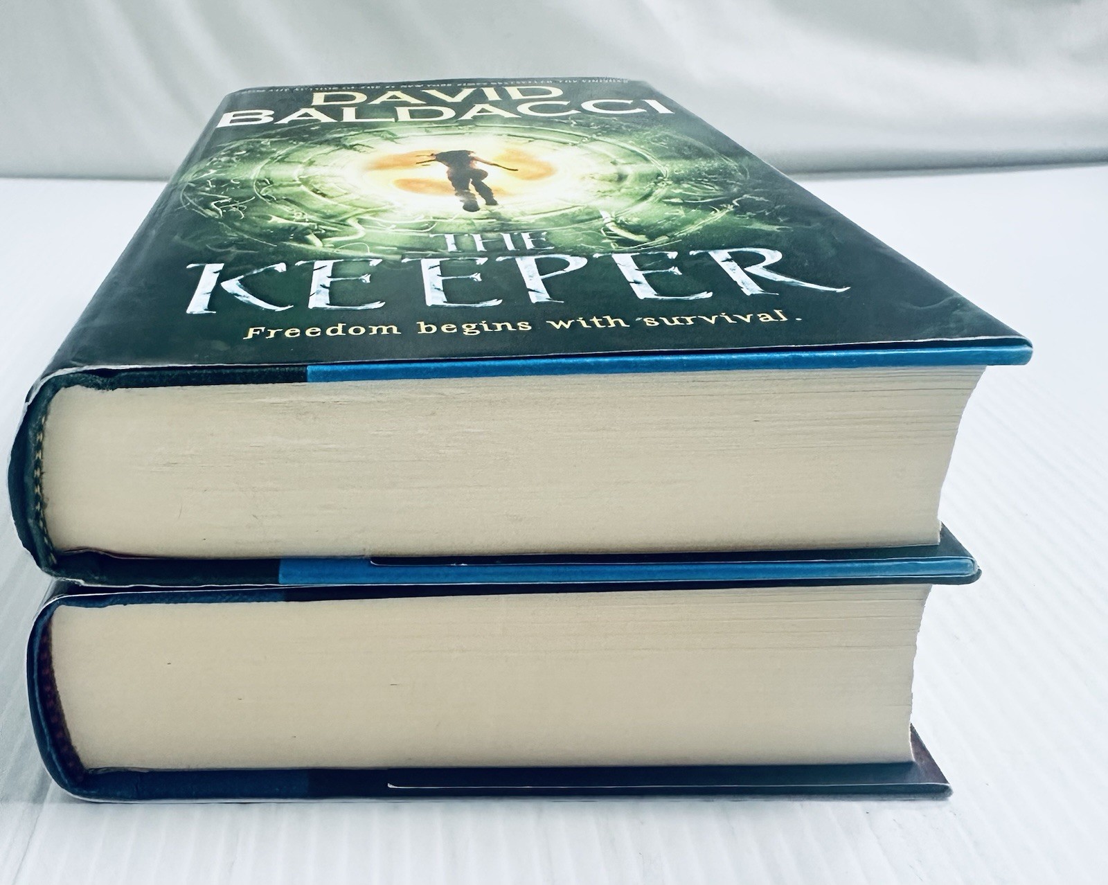 Vega Jane Hardcover Lot of 2 by David Baldacci Fantasy Adventure YA