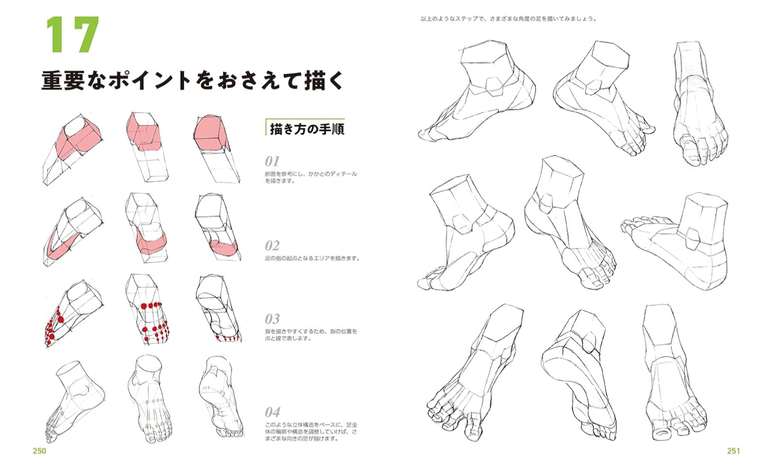 Master Guide to Drawing the Human Body – Character Drawing from the Basics #1434