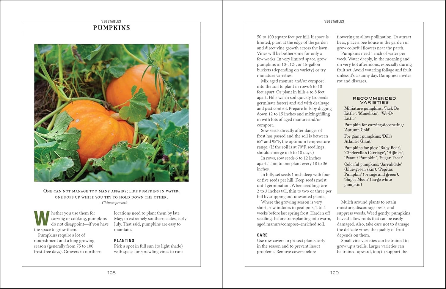PLANTING VEGETABLE GARDENERS HANDBOOK Practical Gardening Tips Harvesting Guide