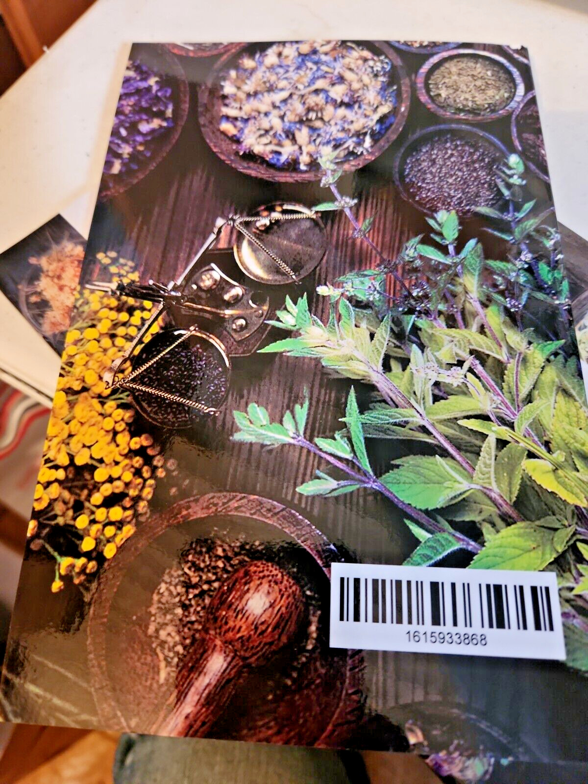 Natural Remedies Must Have Alternative EMERGENCY CRISIS SURVIVAL BOOK BRAND NEW