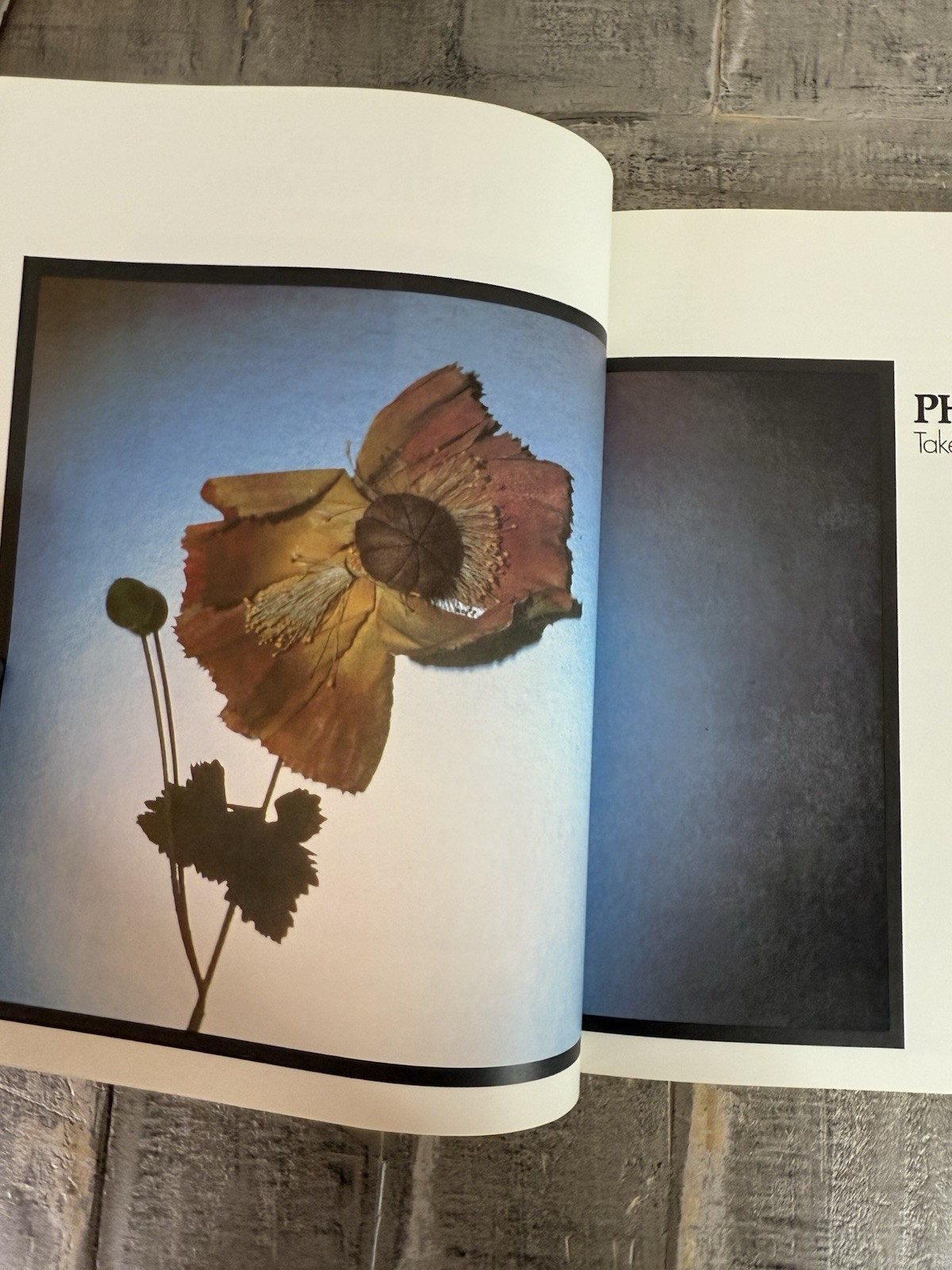 Master Photography: Take and Make Perfect Pictu… by Busselle, Michael Hardback