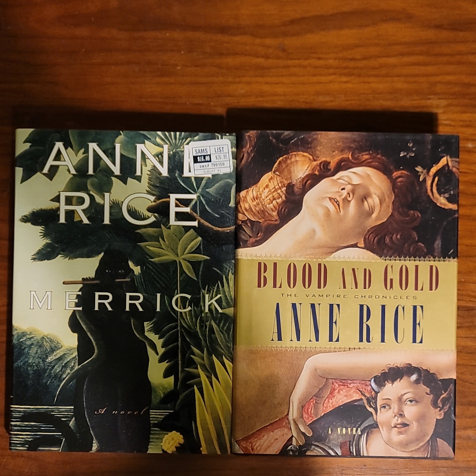 Anne Rice Vampire & Witch Chronicles + Other Books (1st Edition HB) PB Lot of 20