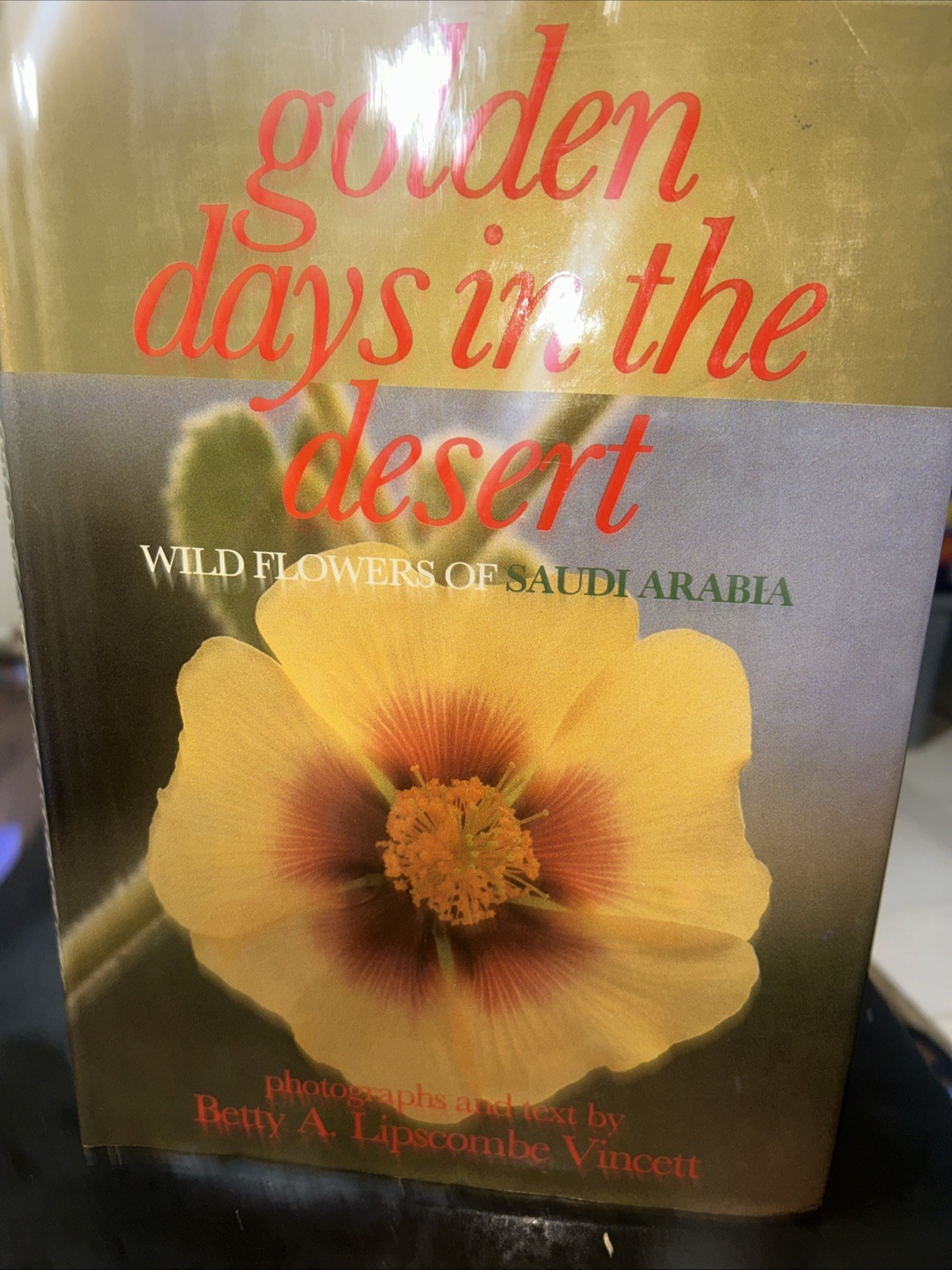 Golden Days in the Desert: Wild Flowers of Saudi Arabia