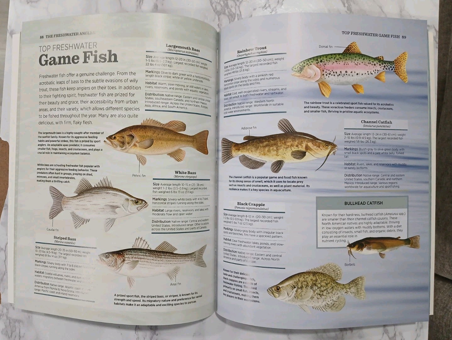 The Complete Guide To Fishing (Fresh/Saltwater, Fly-Fishing) By Daniel J. Pruitt