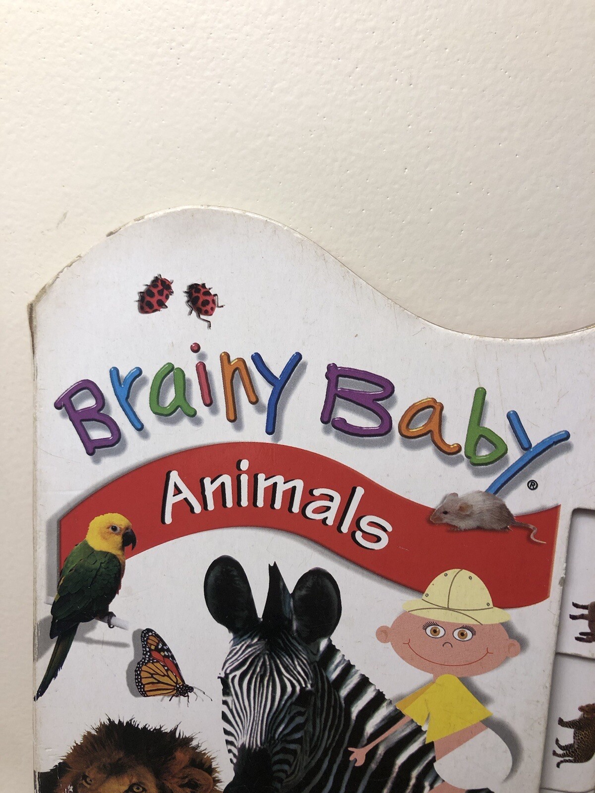 Brainy Baby Animals Learning Tab Book ( 2005 Bendon Publishing)