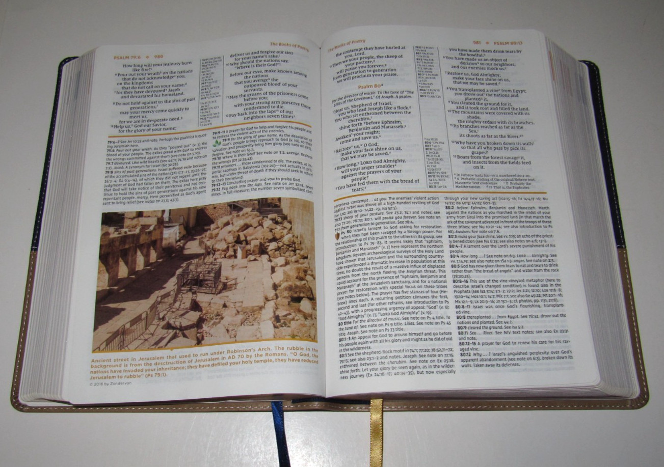 NIV Study Bible: Leathersoft, Navy-Tan, Red Letter, Zondervan