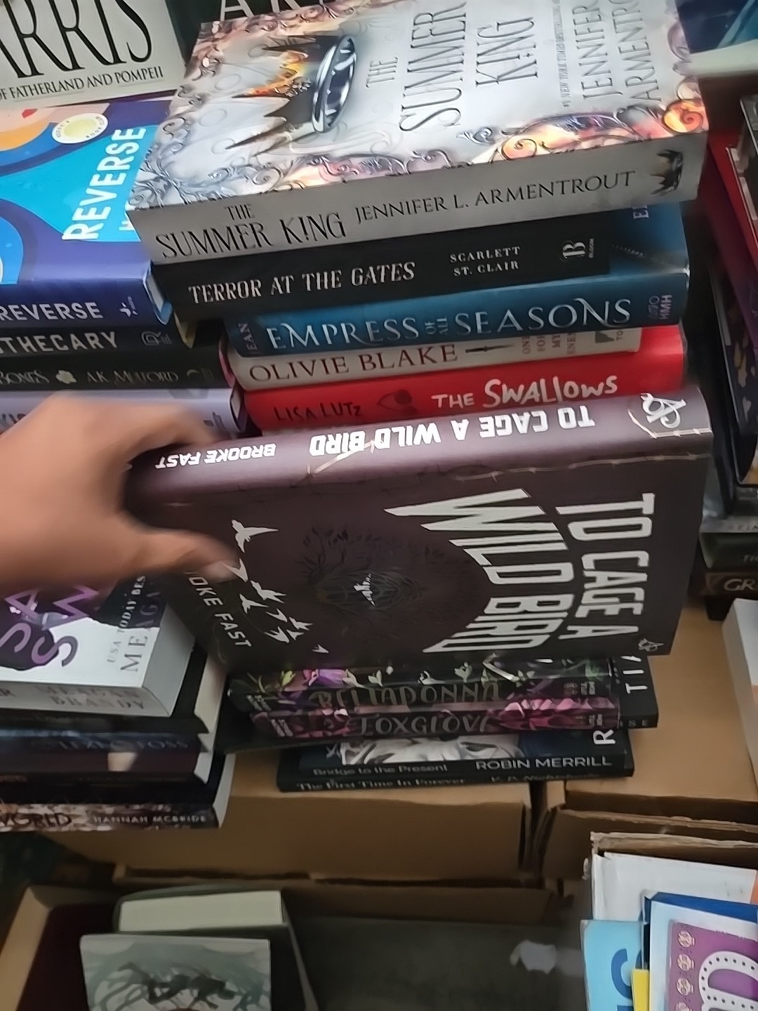 Exclusive adult dark fantasy Dystopian to cage a wild bird sprayed edges oop