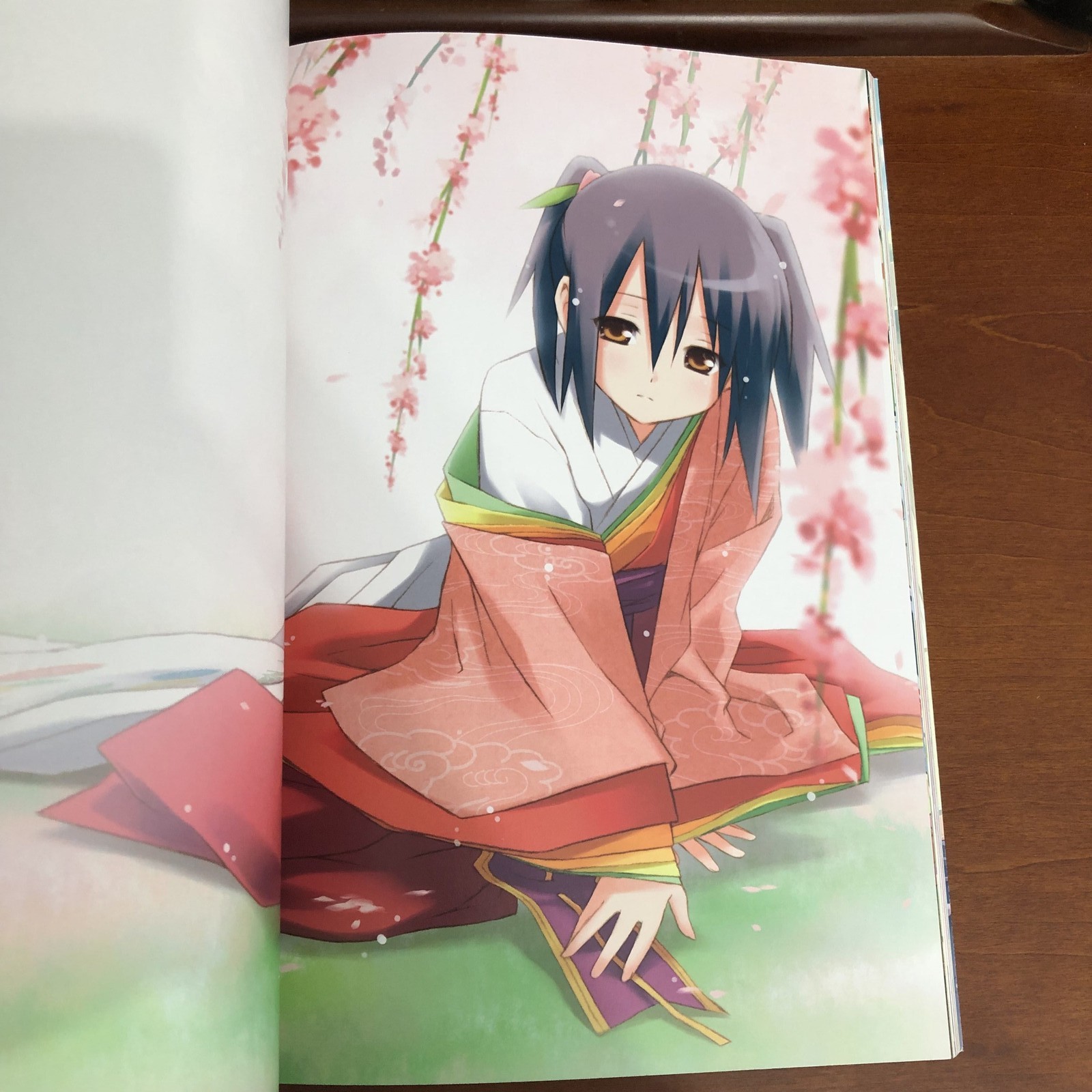 Utsura Uraraka Ellet Art Works Regular Edition Art Book Illustration
