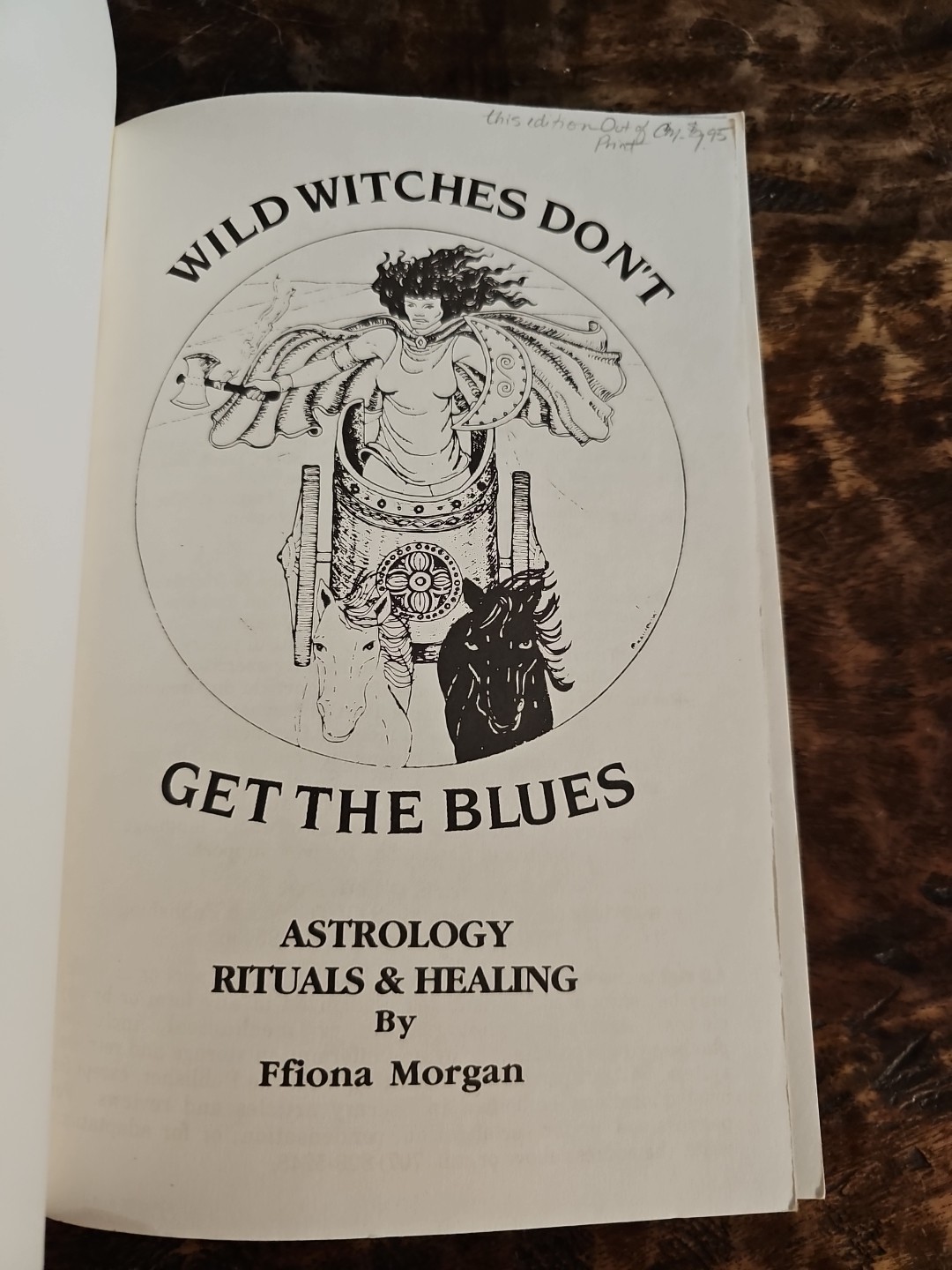Wild Witches Don’t Get the Blues Ffiona Morgan 1991 Astrology Rituals Healing
