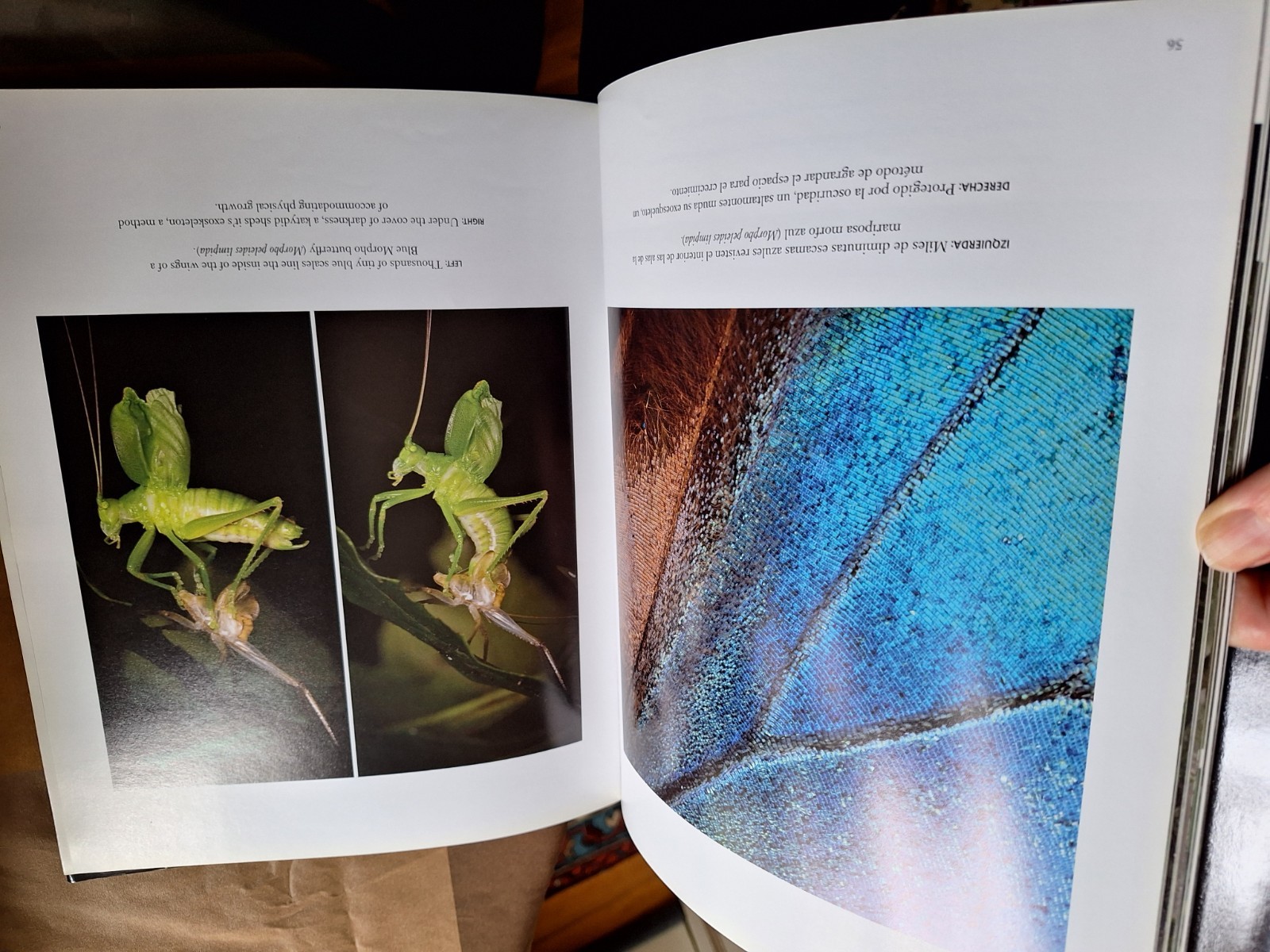 Monteverde: Cloud Forest Preserve Hardcover. English & Spanish, 152 pages