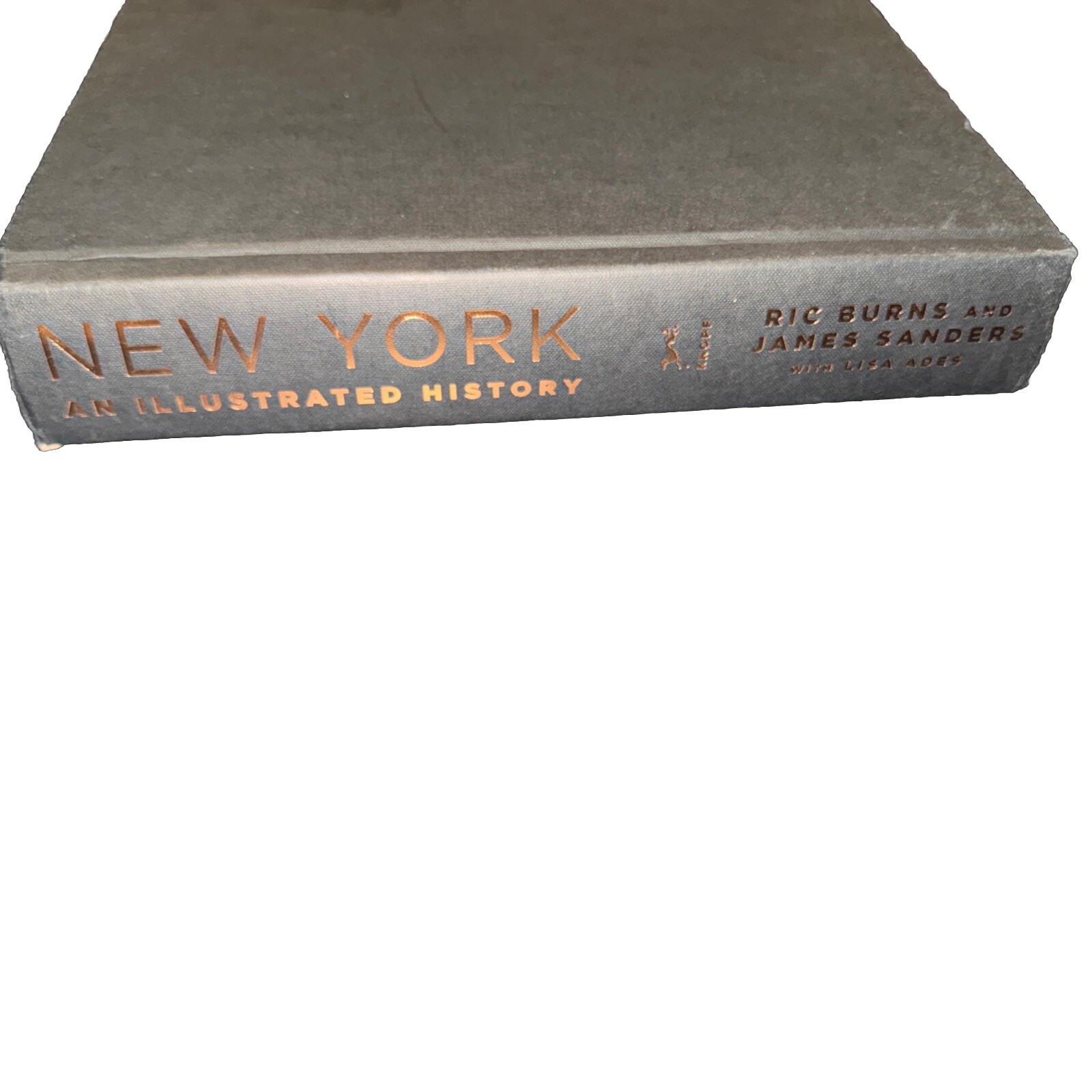 New York An Illustrated History by James Sanders & Ric urns