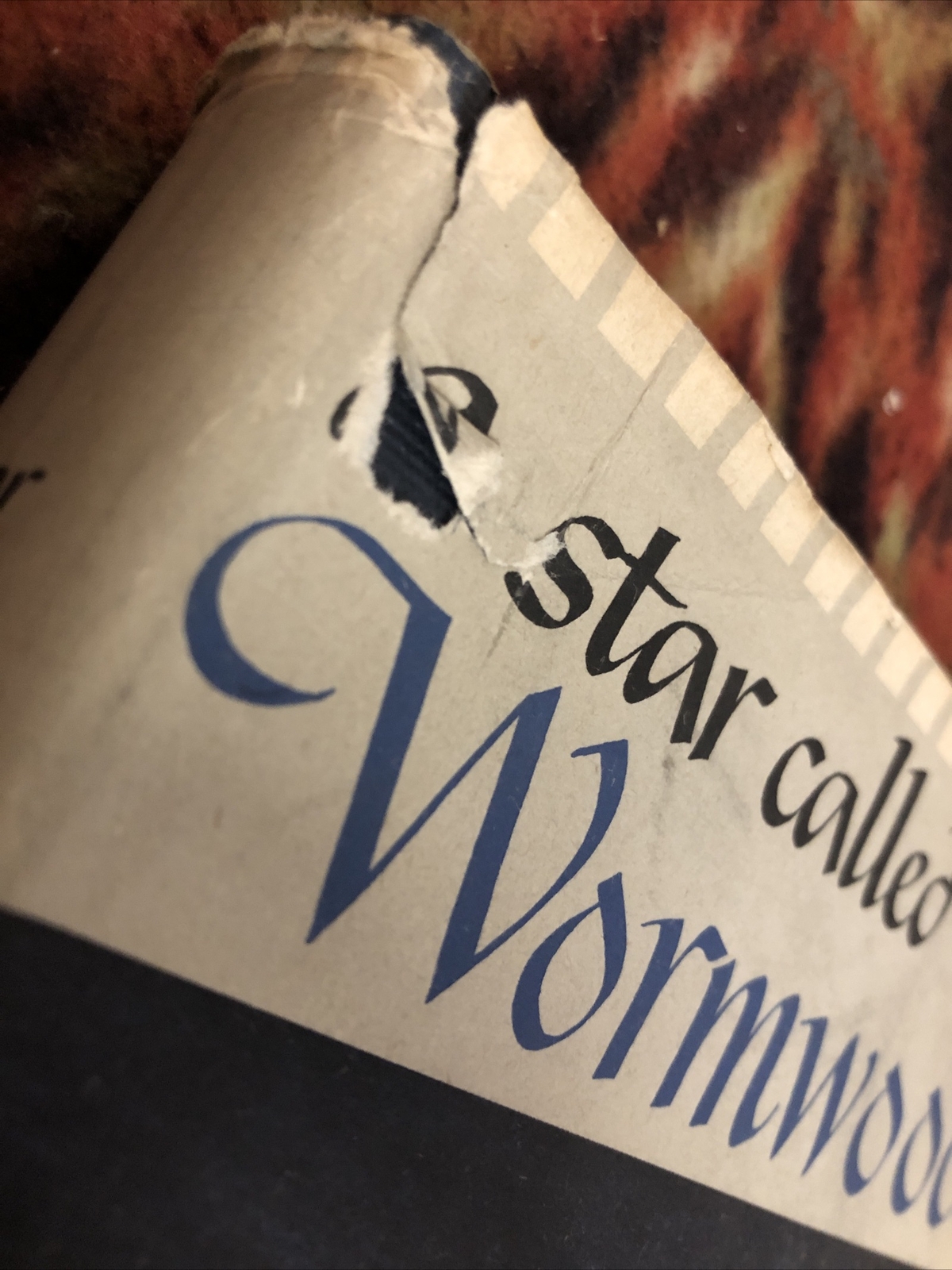 A Star Called Wormwood Martha Bacon Novel Dust Jacket Hardcover 1st Edition