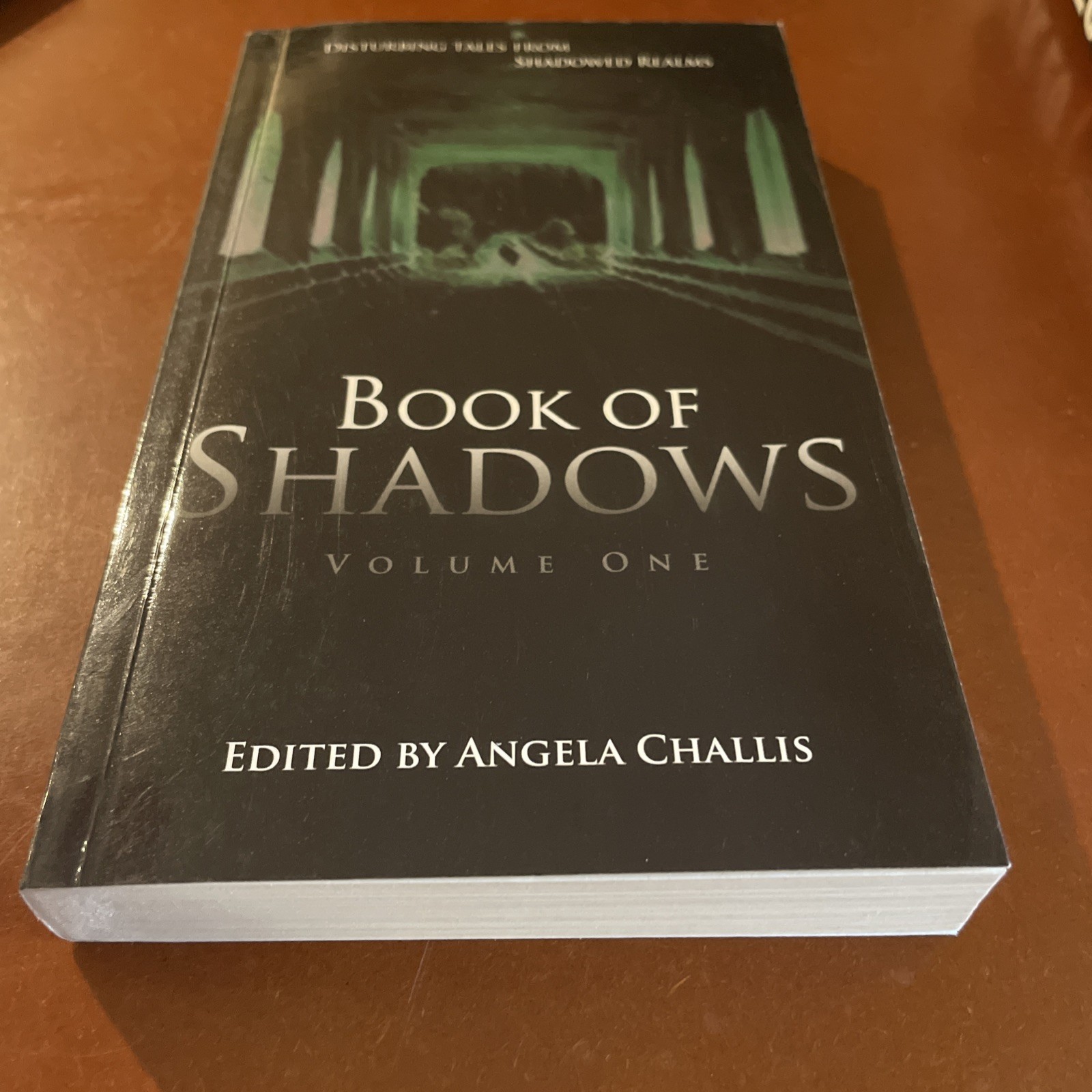 Book Of Shadows Volume 1 by Brimstone Press 1st Edition Small Press Run Rare