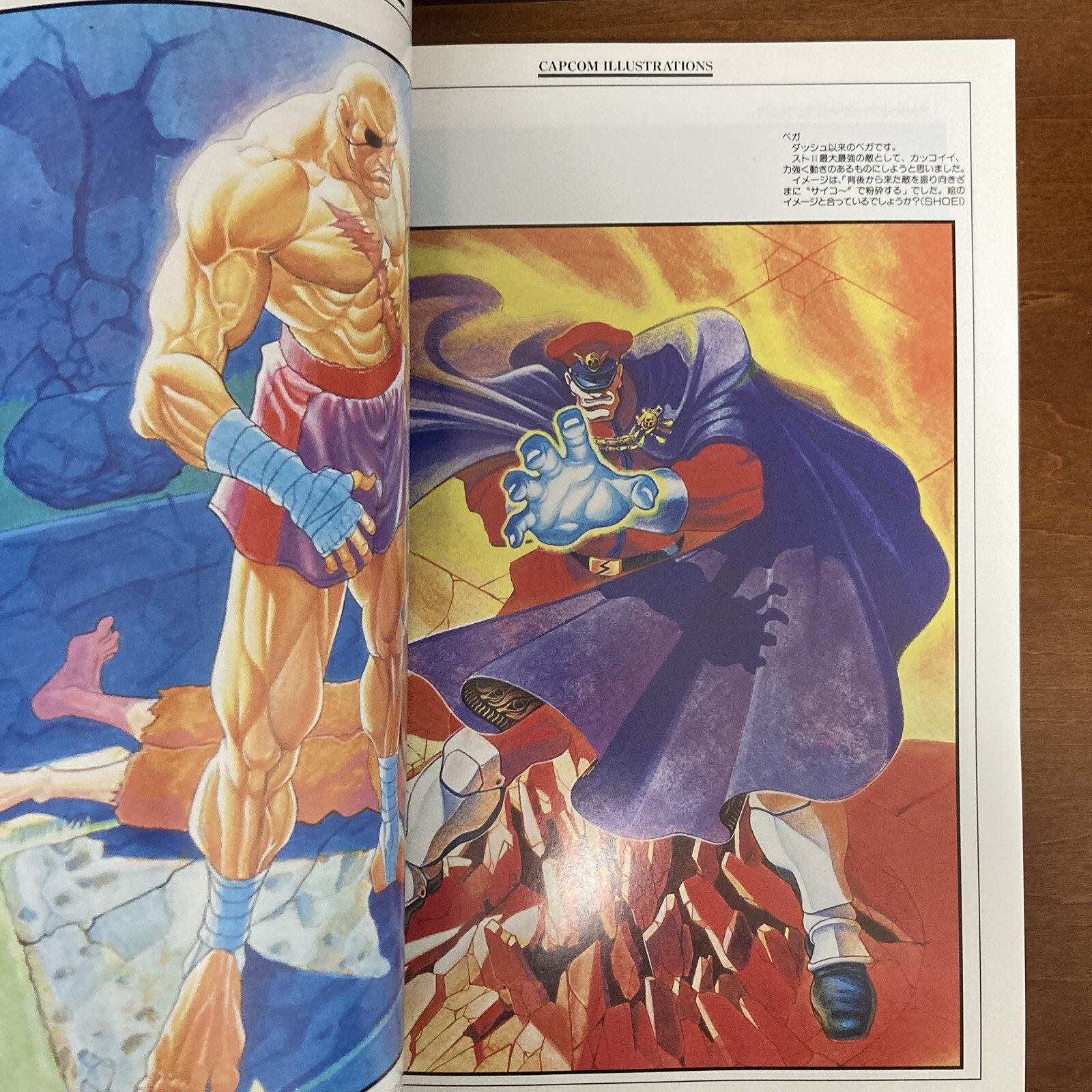 Capcom Illustrations Art Book