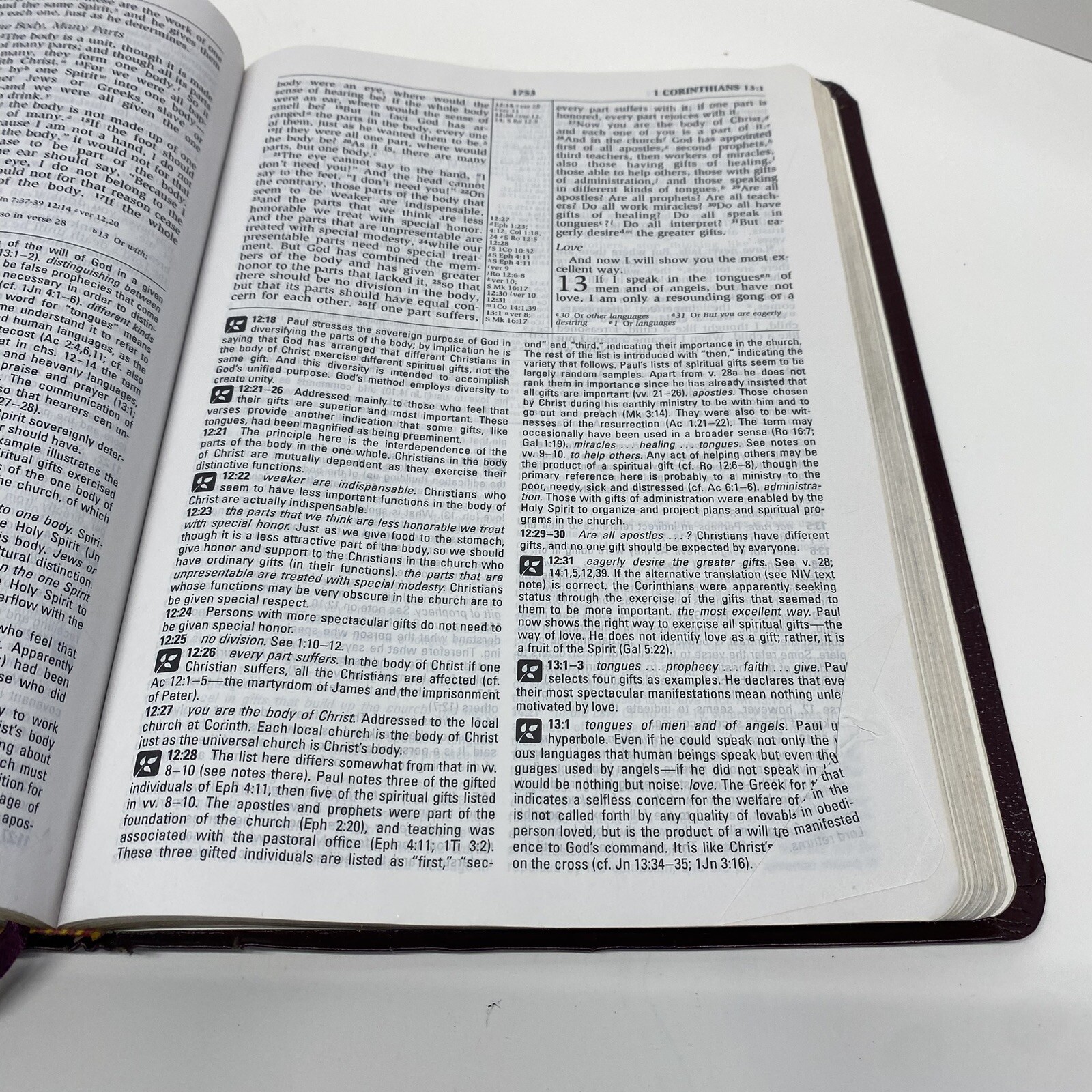 NIV Study Bible 10th Anniversary Edition Burgundy Leather Red Letter Used