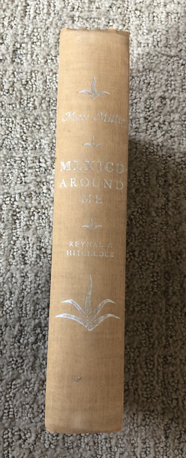 Mexico around Me by Max Miller