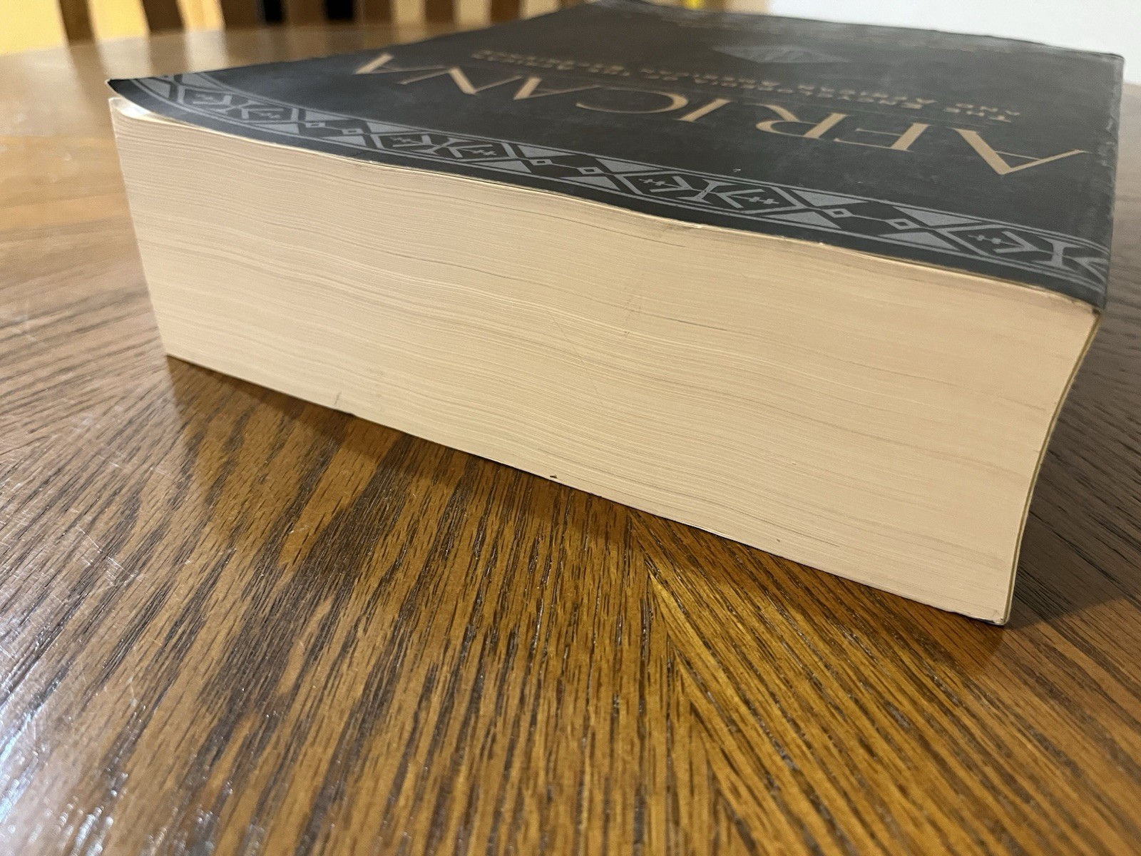 Africana The Encyclopedia of the African American Experience Paperback 1999