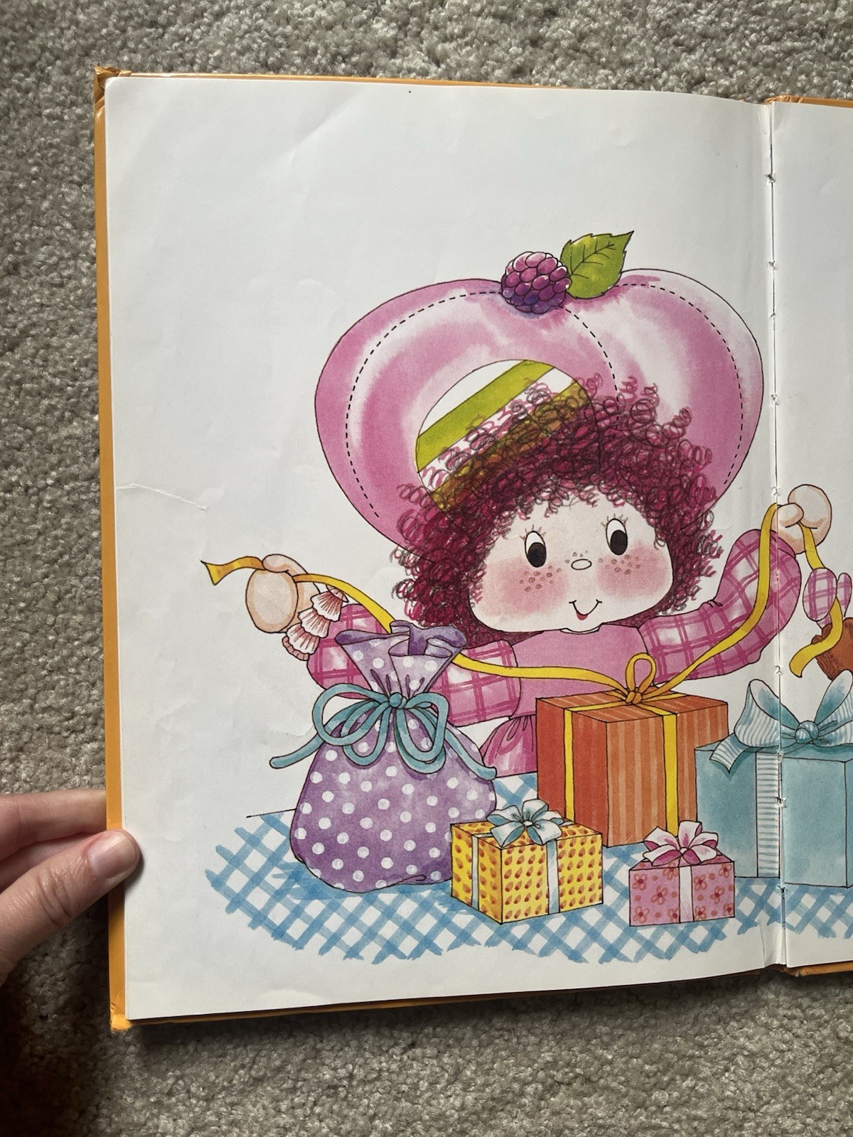 Strawberry Shortcake And The Birthday Surprise 1983 Hardback
