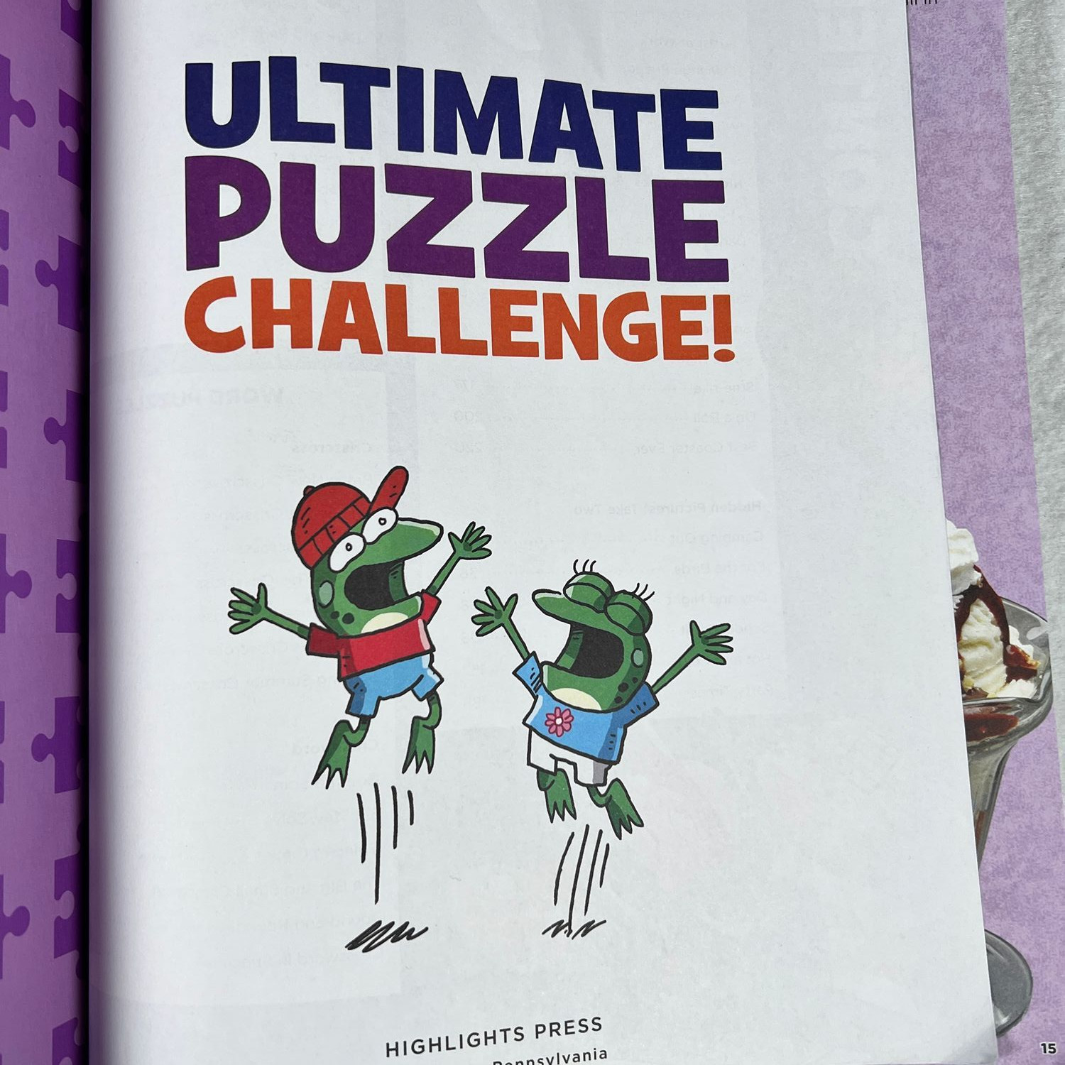 Highlights Ultimate Puzzle Challenge Book Hidden Pictures Word Search Mazes Used