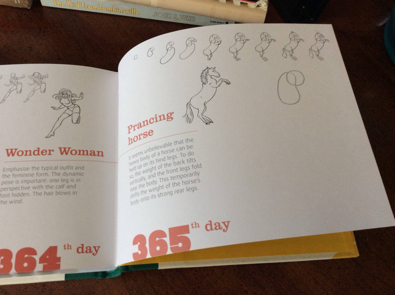 365 DAYS OF DRAWING By Lise Herzog – Hardcover Like New