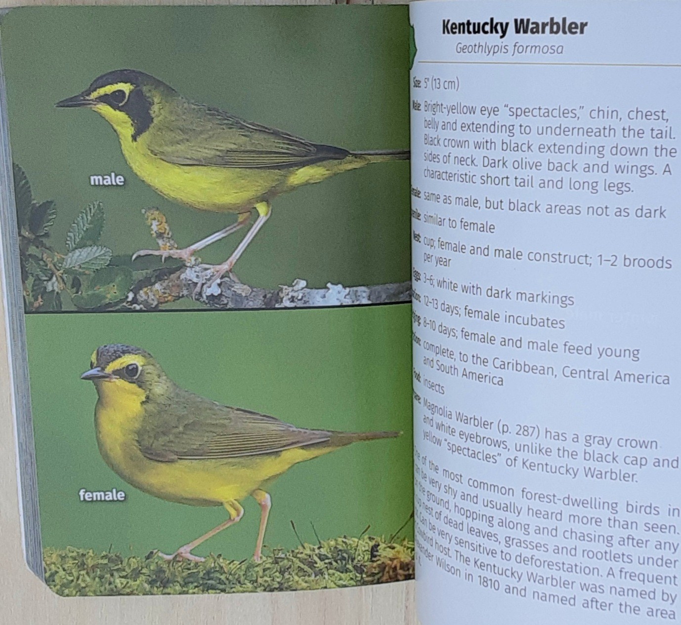 Birds of Kentucky Field Guide by Stan Tekiela 2022 Illustrated Paperback Book
