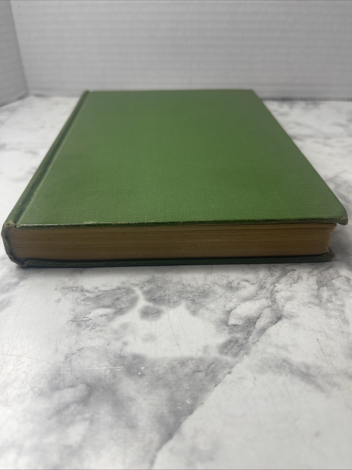 Years Before The Flood by Marianne Roane 1945 Wartime Book VG Hopwood Prize HC