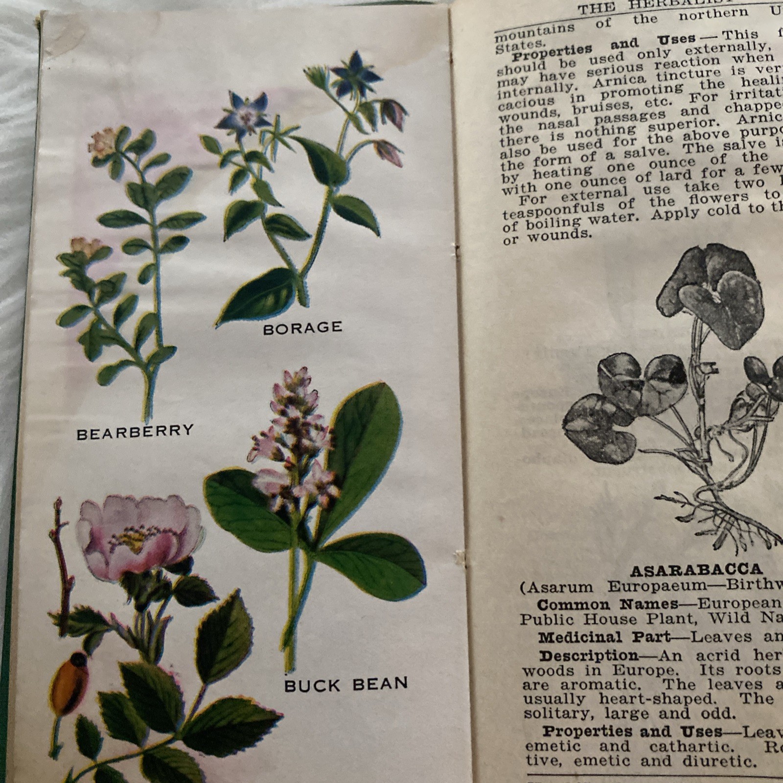 The Herbalist 1934 Joseph E. Meyer Green Hardcover Color Plates Illustrated