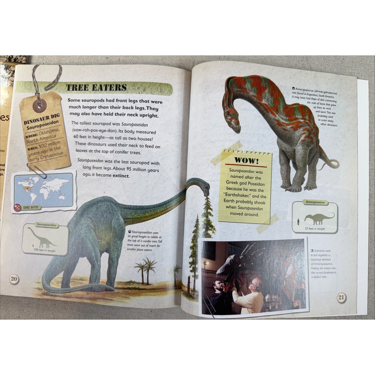 Dinosaur Books Kids Set 4 Rupert Matthews QEB Fossil Science Lot