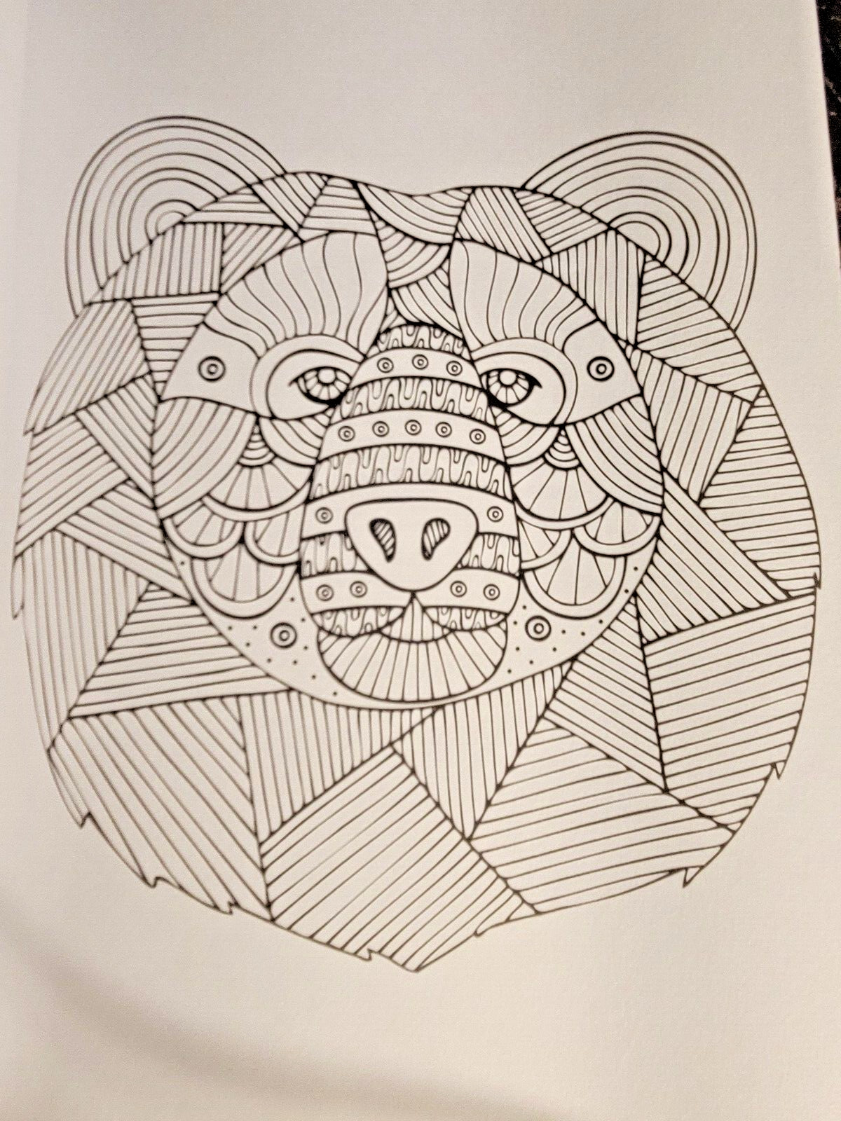 COLORS OF THE WILD! Vol. 16 Adult Coloring Book With 47 Prints Ready To Frame!