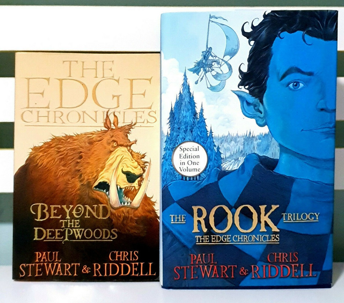 Lot of 2x The Edge Chronicles Books by Paul Stewart & Chris Riddell!