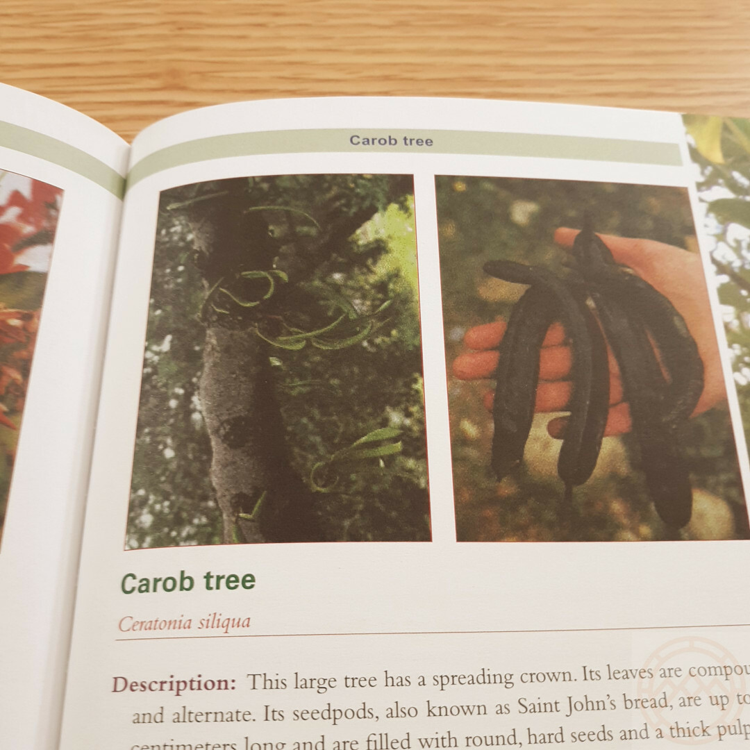 Complete Guide to Edible Plants Book Army Dept Medicine Poison Color Photos