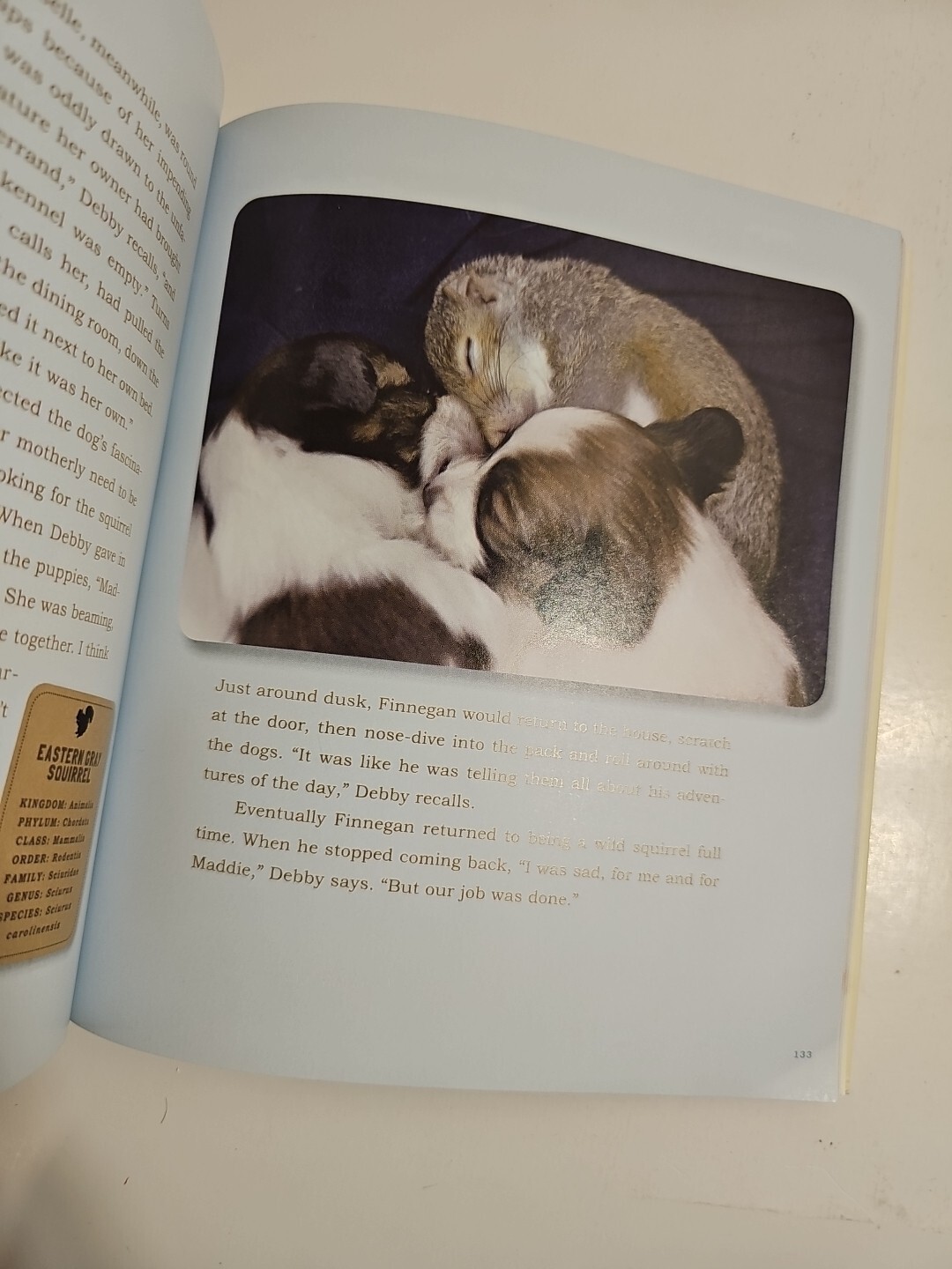 Unlikely Friendships 47 Remarkable Stories Animal Kingdom Jennifer Holland