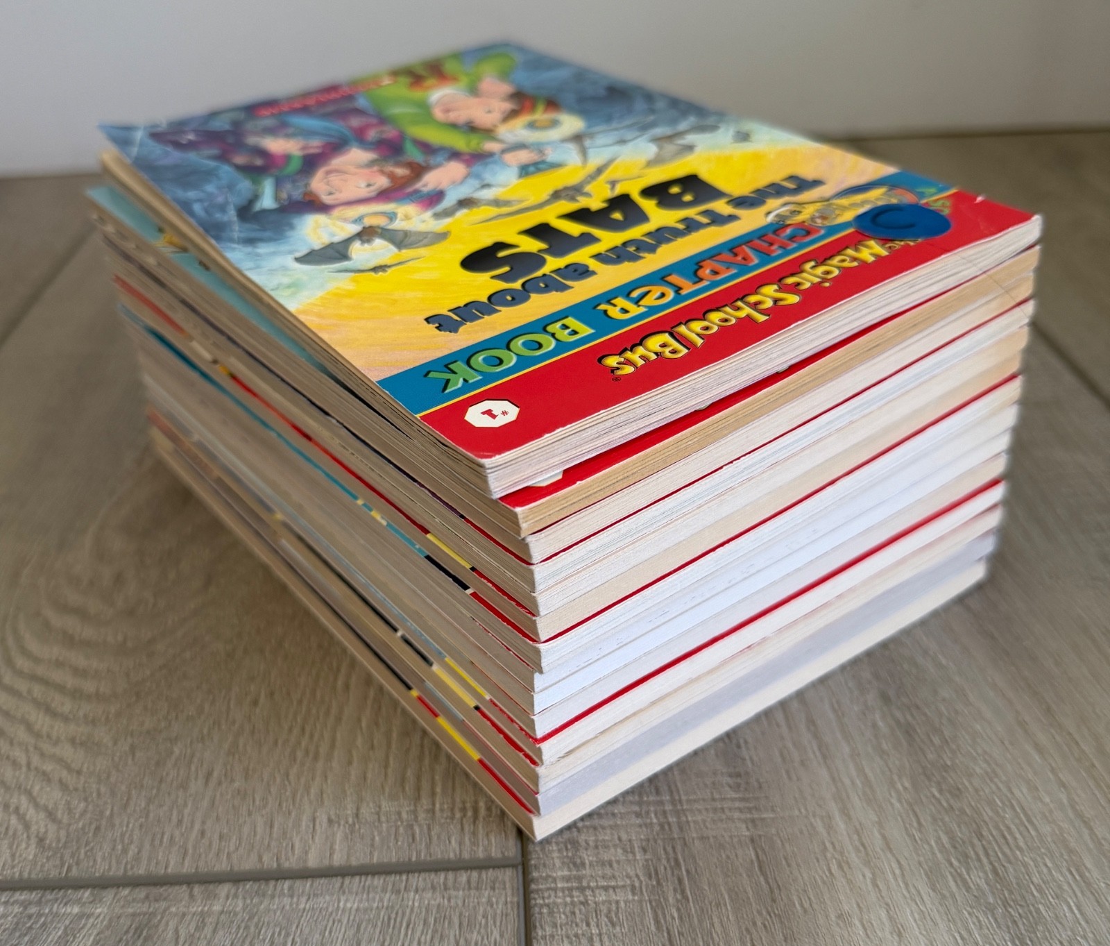 Magic School Bus Chapter Books Science Series Lot Of 14 (#1-12, 14, 15, +)