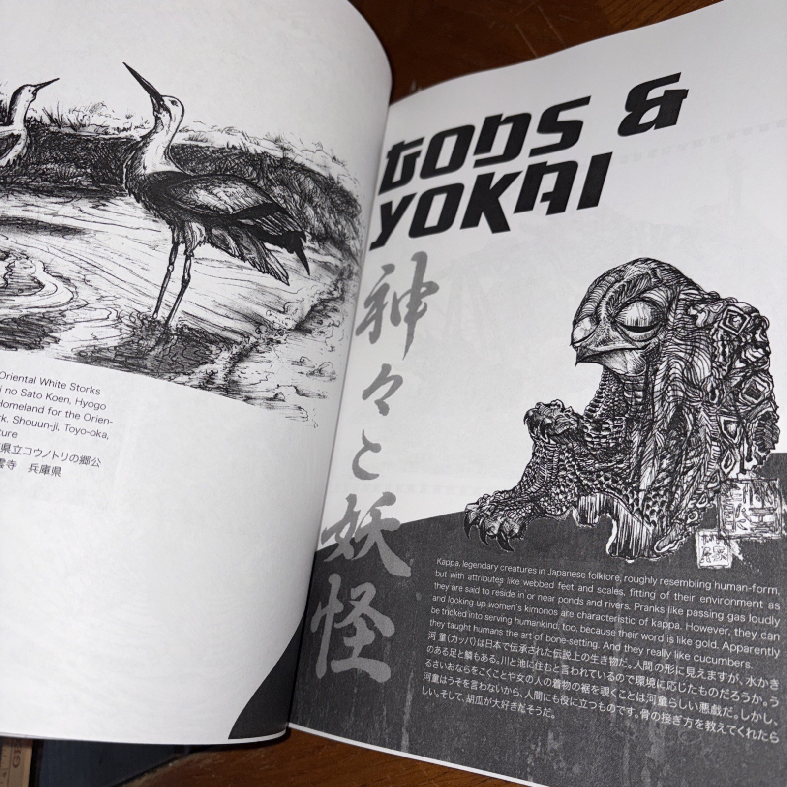 Japan 365 : A Drawing-A-Day Project by Mayze (2012, Trade Paperback)