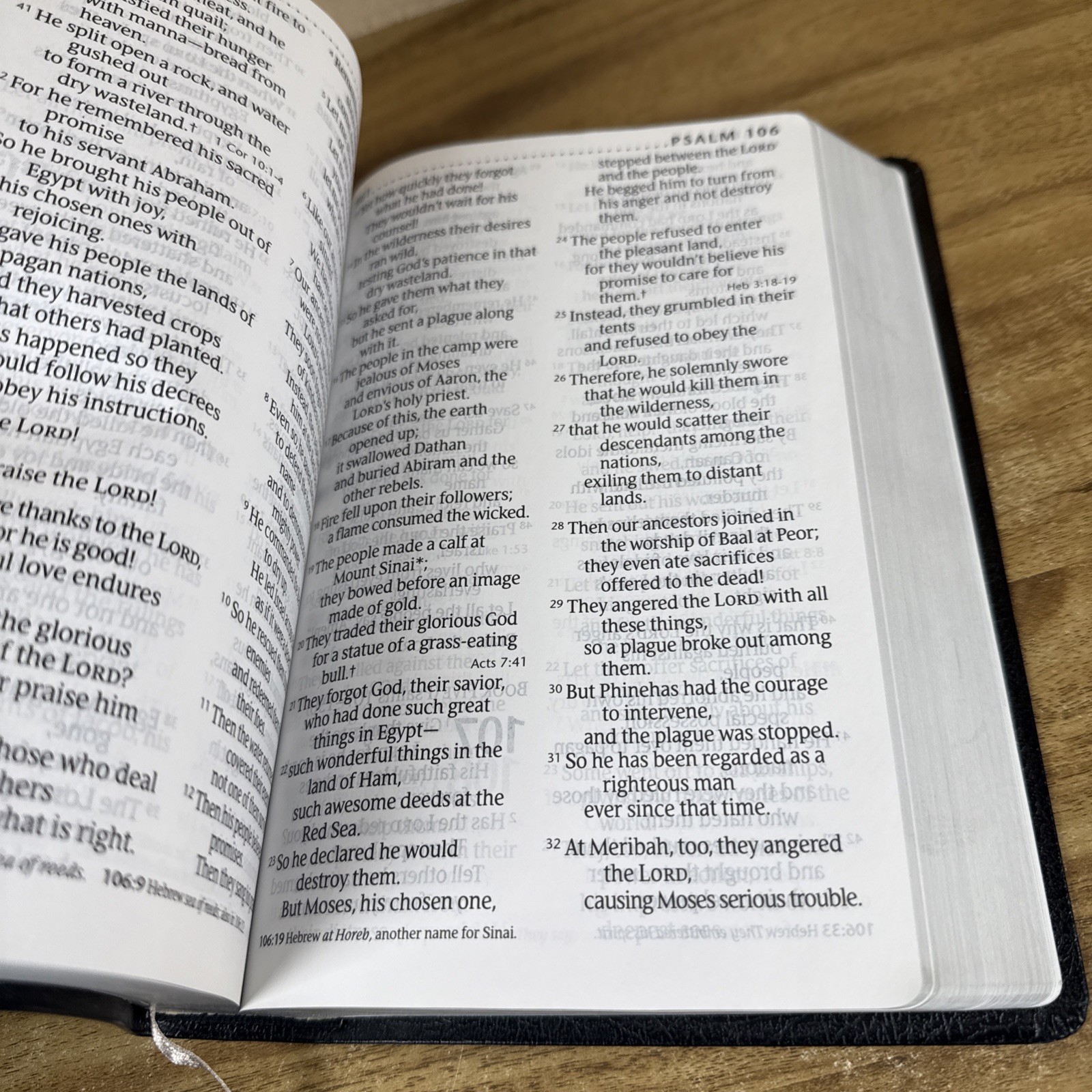Holy Bible New Living Translation Tyndale Red Letter Personal Size LARGE PRINT
