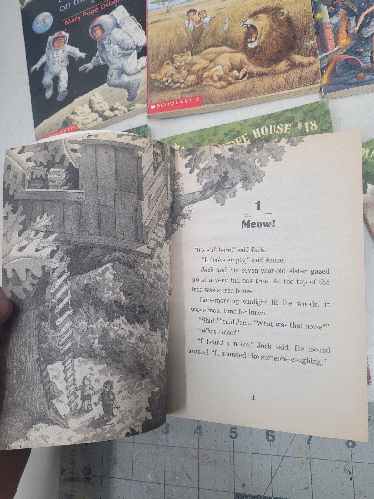 (Magic Tree House Paperback Lot of (12) #1, 2, 3, 6, 8, 11, 13, 17, 18, 23 & 24
