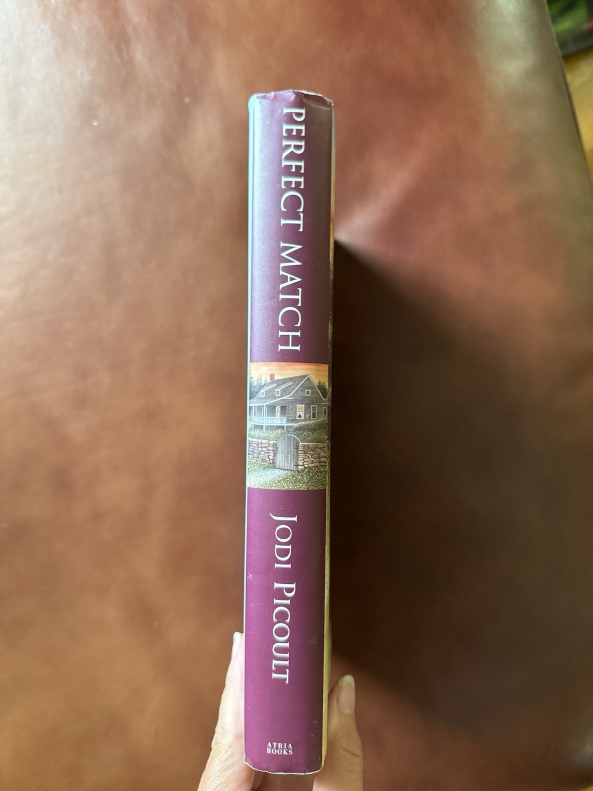 Perfect Match by Jodi Picoult (2002, Hardcover)