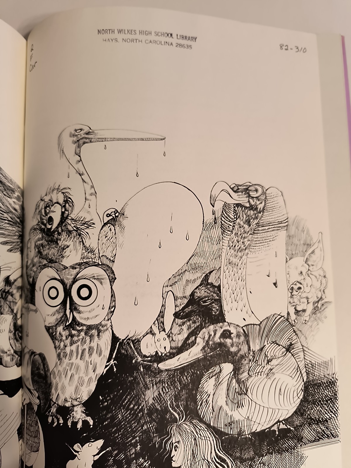 Alice In Wonderland By Lewis Carroll & Ralph Steadman *Ex Libris see description