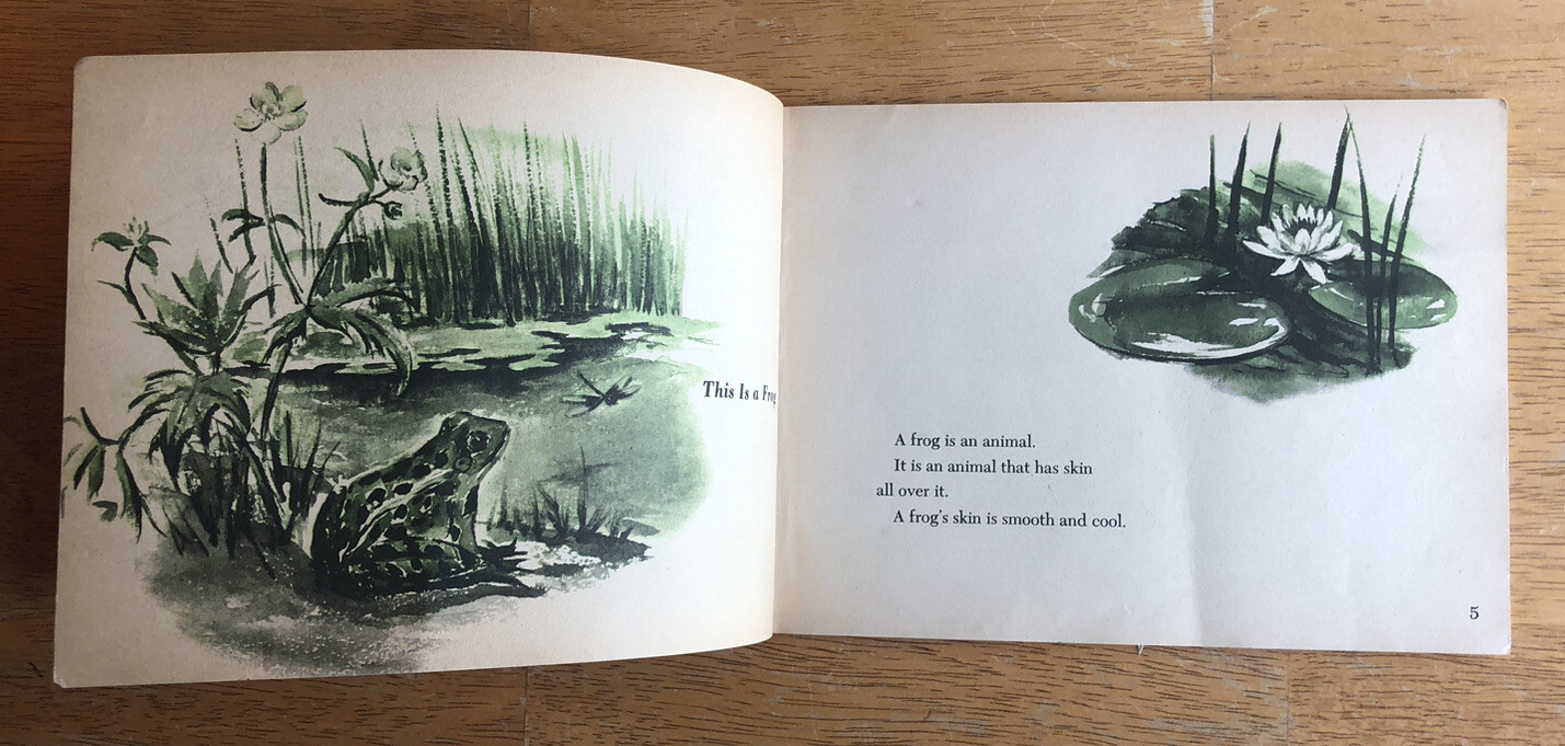 Vintage 1963 What is a Frog? by Gene Darby, Scholastic First Printing Paperback