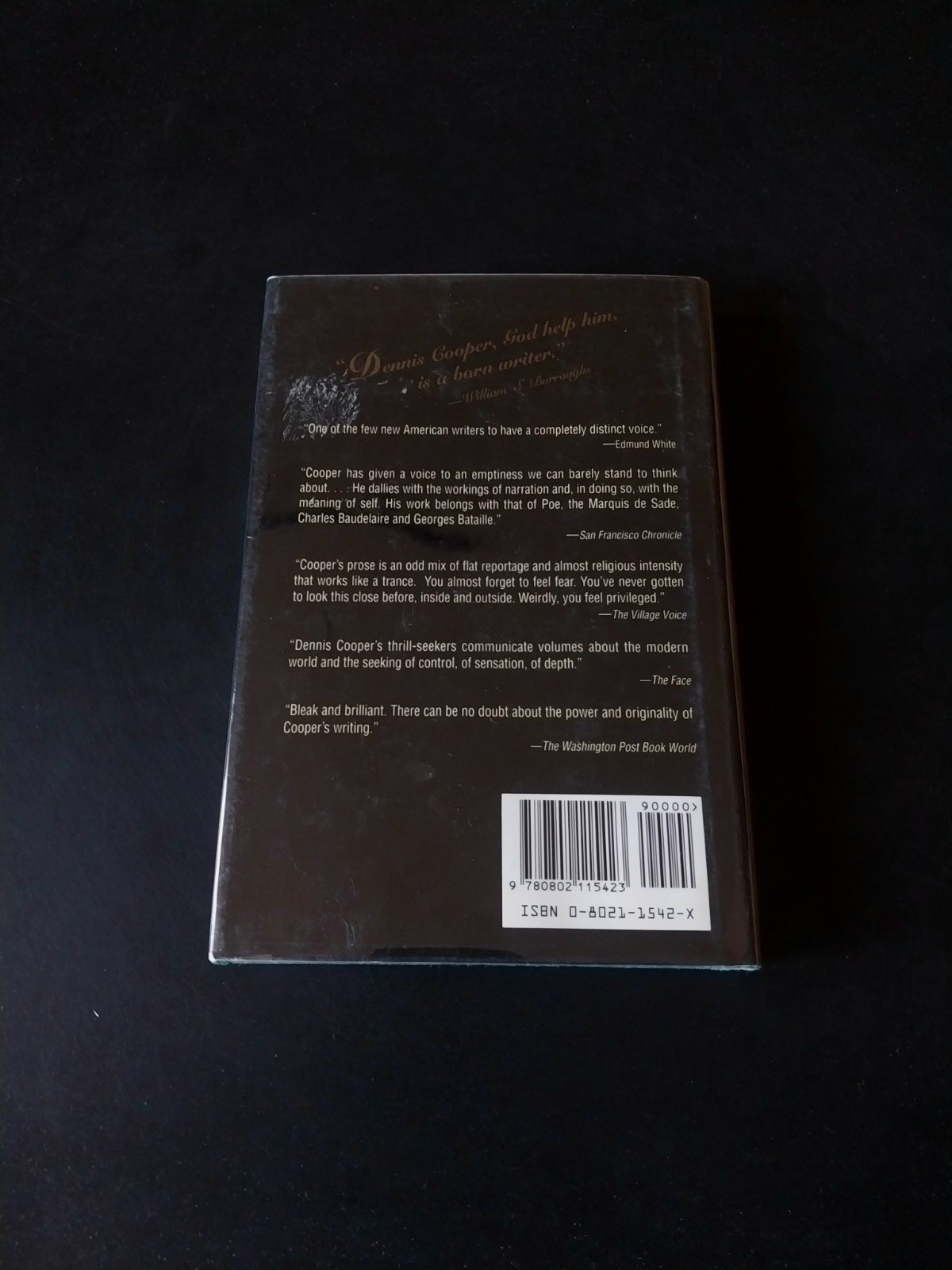 Dennis Cooper – Try – Grove Press First Edition First Printing 1994
