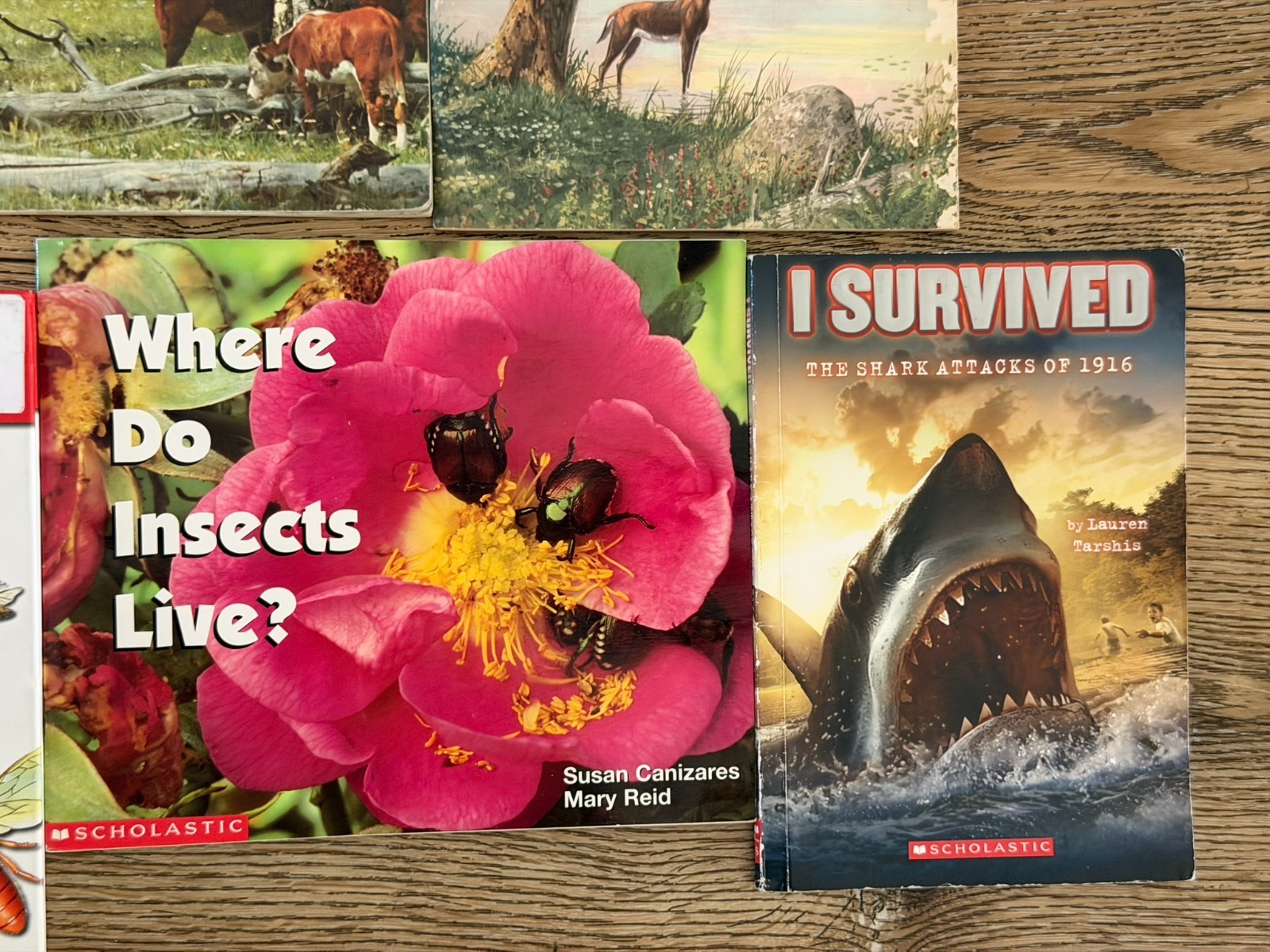 Lot of 15 Children’s Animal animals Picture Books Homeschool Sharks, Reptiles…