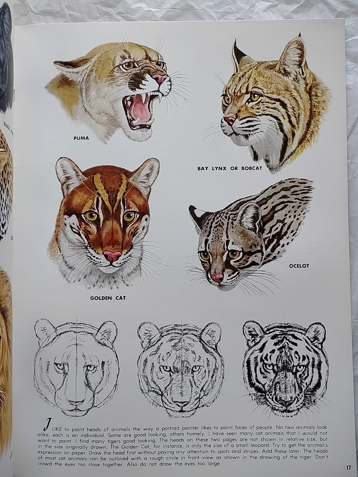 Vintage Lot of 4 Walter T. Foster Cats, Bears & Animals 13, 70, 89 & 134 (264)