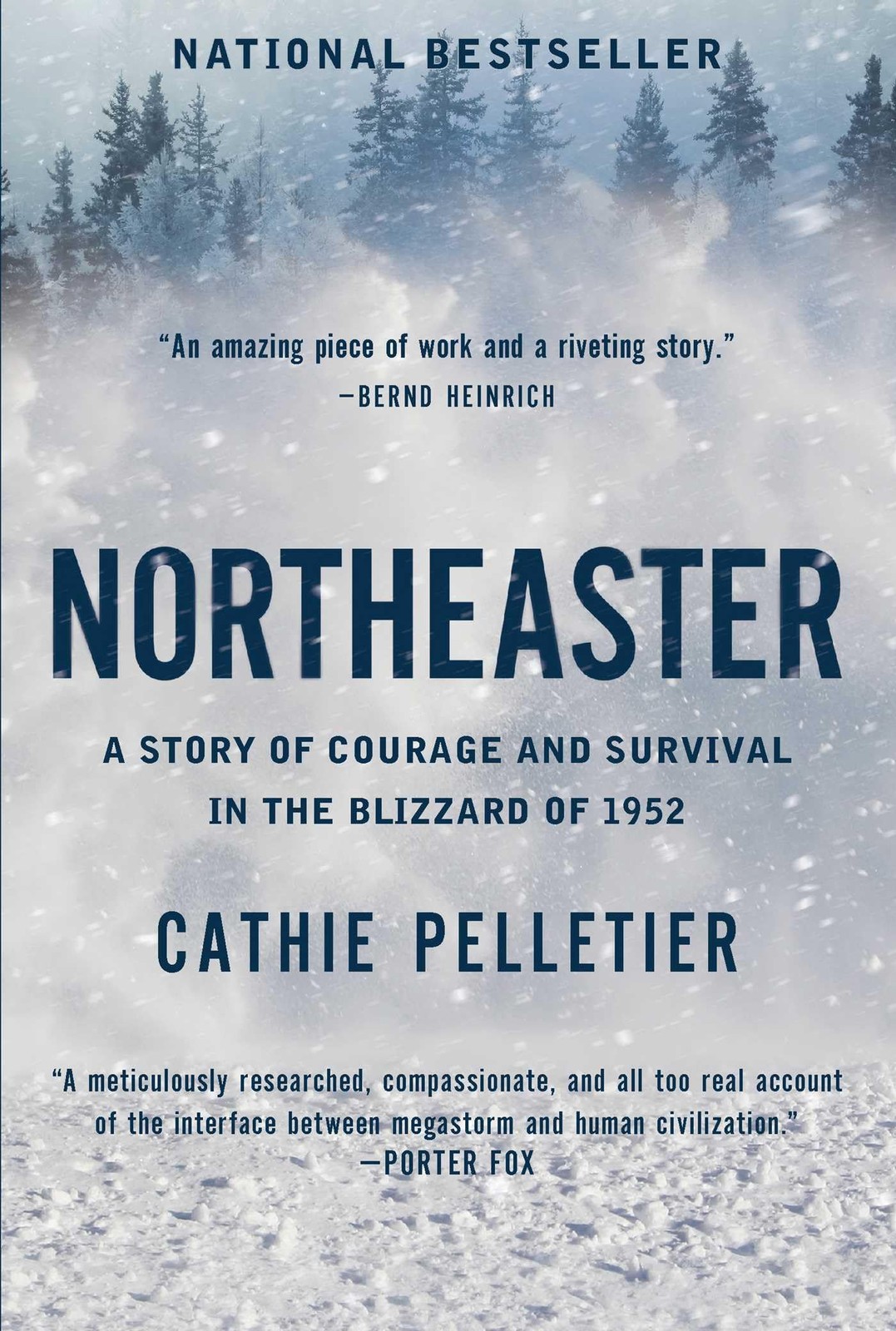Northeaster: A Story of Courage and Survival in the Blizzard of 1952, Pelletier,