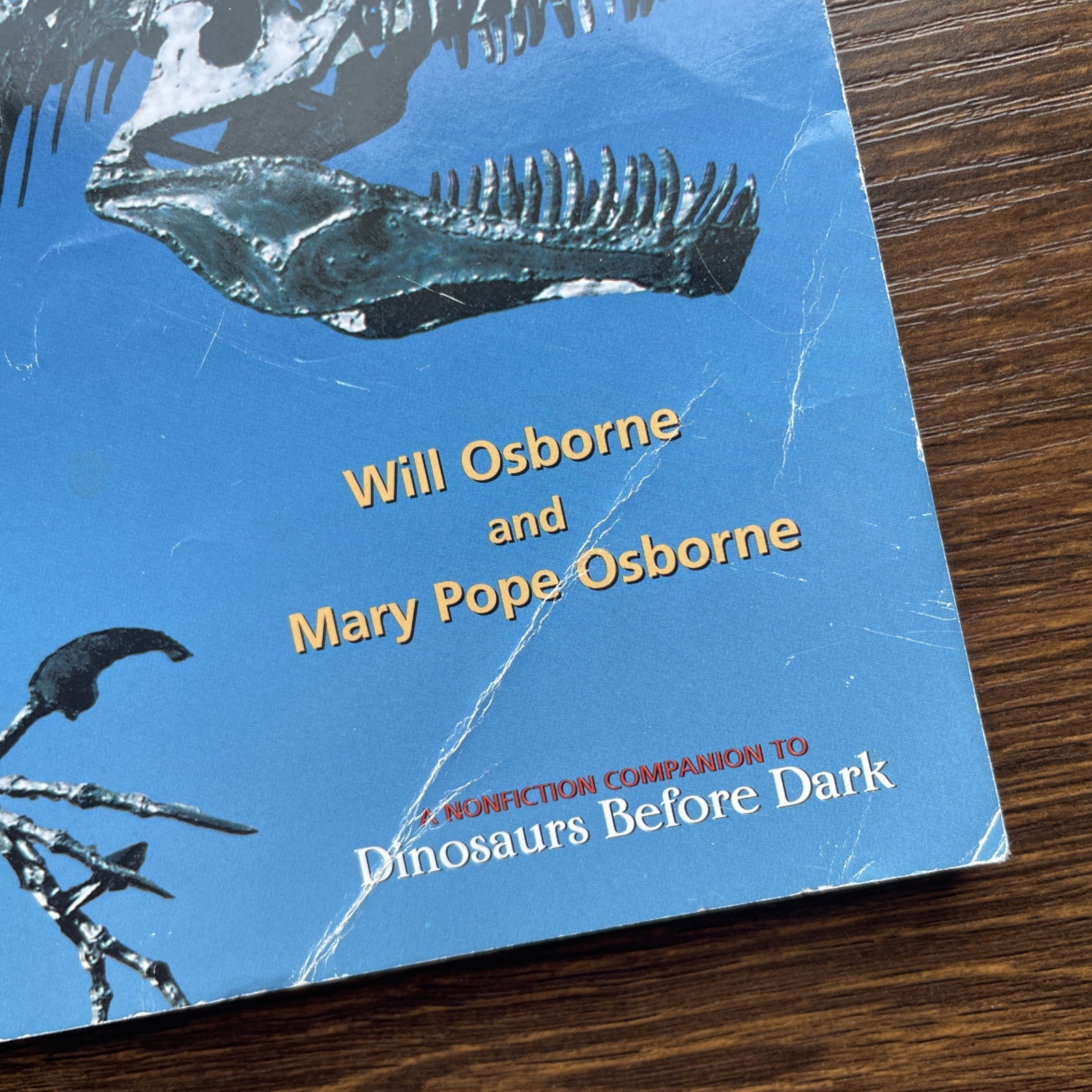 Magic Tree House Merlin Mission Lot of 8 Mary Pope Osborne Varied Conditions